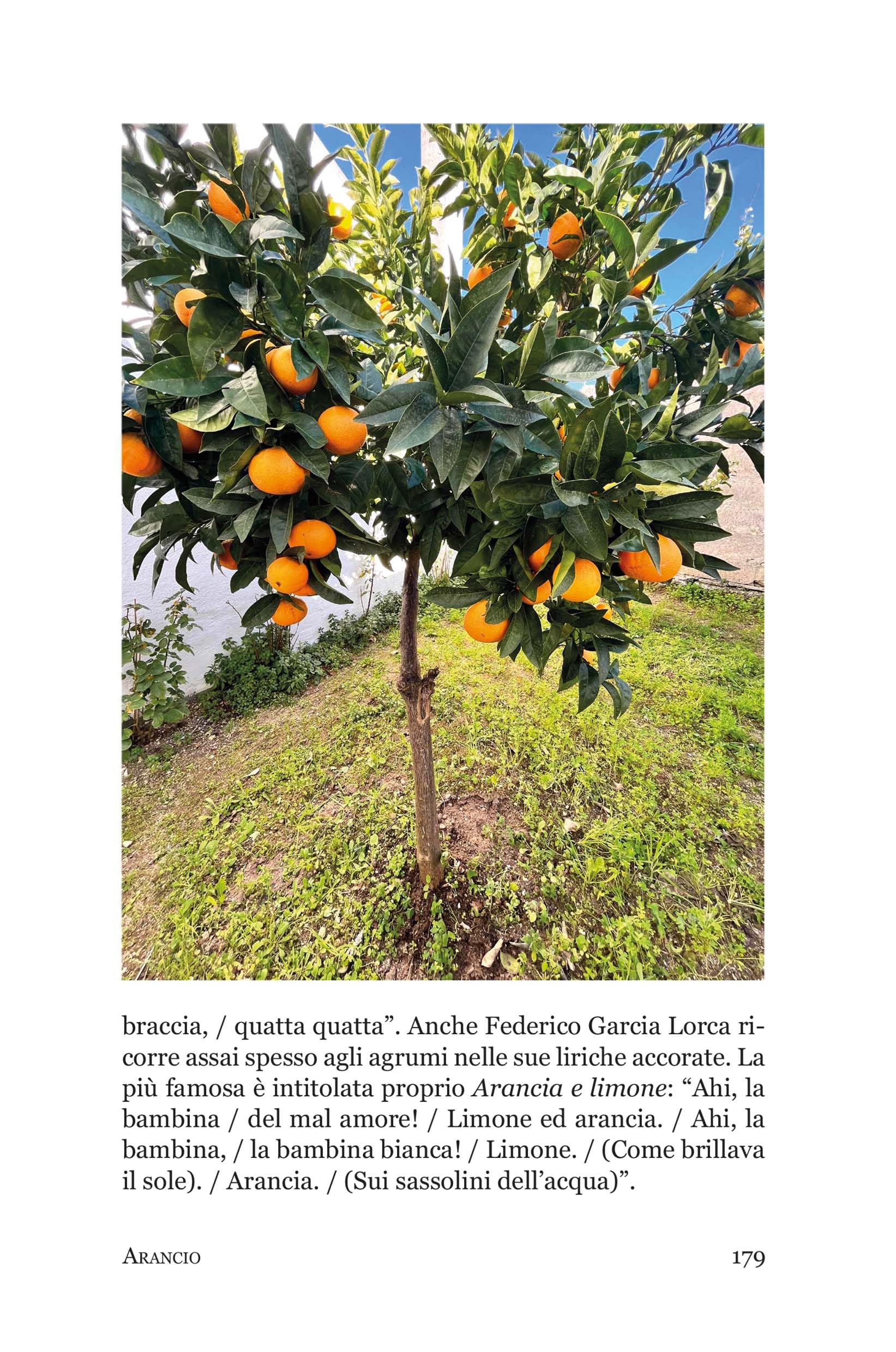 Così fan frutti. Viaggio colto tra gli alberi che fanno bene. Con storie di scienza e gusto