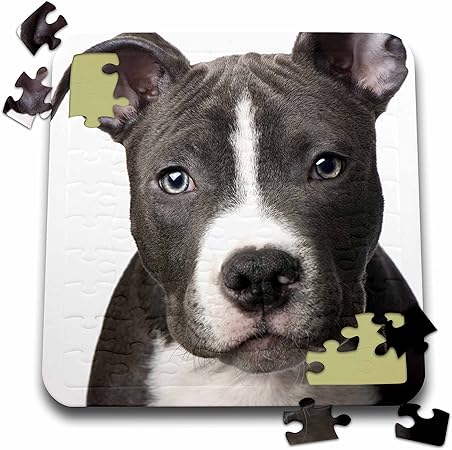 Amazon 犬ピットブル アメリカンピットブルテリアの子犬 10 X 10インチパズル P 4240 2 ジグソーパズル おもちゃ