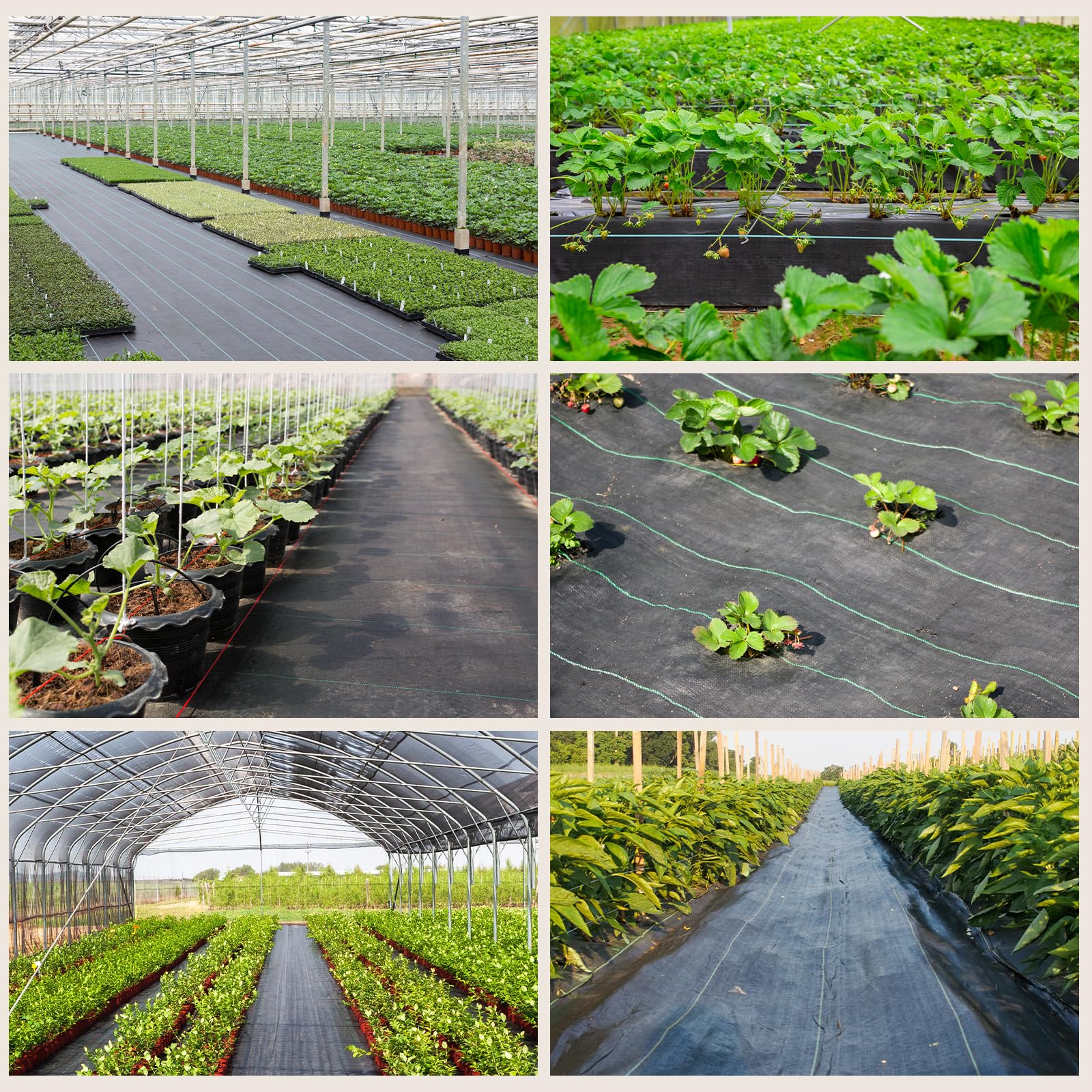 3 x 25 m Malla Antihierbas, Malla contra Malas Hierbas, 70 g/m² Geotextil, Protección césped Artificial, Lona antimalezas jardín, Anti-UV, Negro