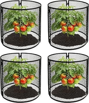 4 Pack Metal Plant Cage Protectors from Animals-11.8 x 11.8 Inch Garden Plant Protector - Sturdy Bunny Barricades Chicken Wire Cloche Plant Protectors for Keeping Bunny Animals Out