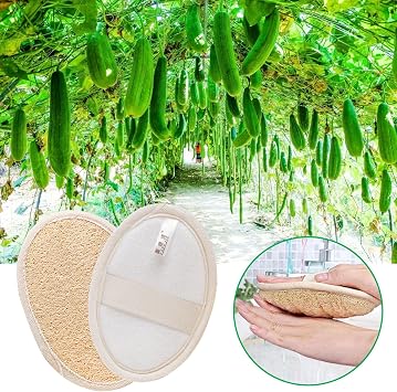 Pack of 4 Loofah Sponge Body Natural Exfoliating Sponge Environmentally Friendly & Biodegradable Loofah Shower Sponge for Face & Body Bath Sponge for Men and Women
