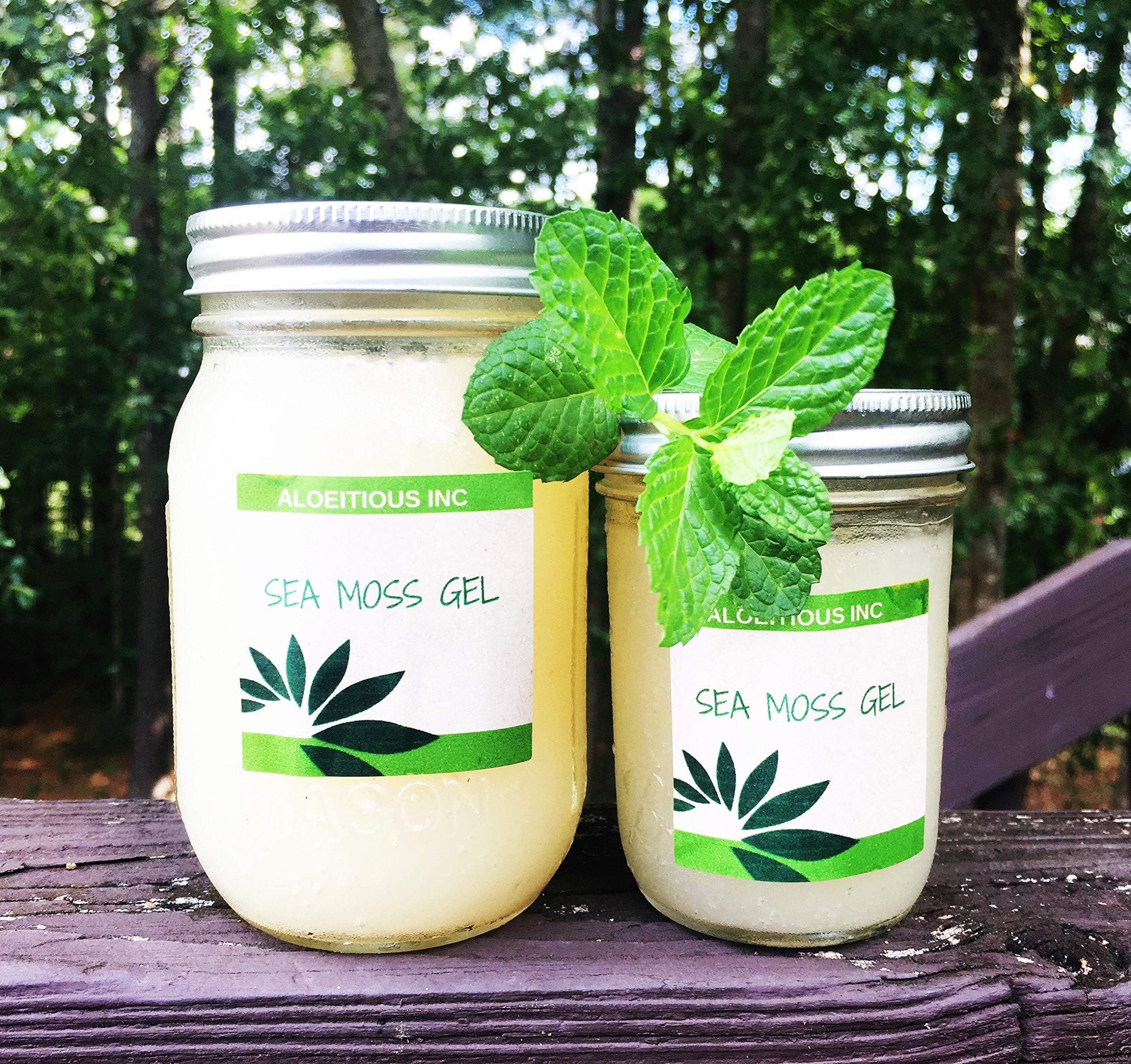 100% Organic Sea Moss Gel - Vegan Super Cell Food Rich in Vitamins A, B, C, D, E, K Calcium and Iodine, Potassium Iodide and Potassium Bromide, Selenium, Zinc and Natural Silica