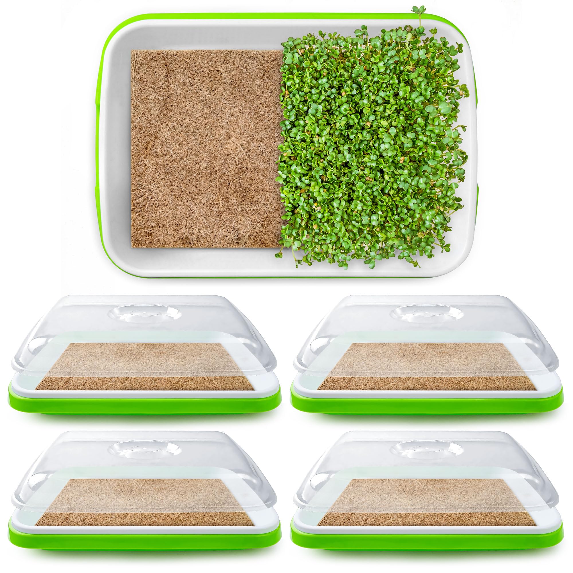 Seed Sprouter Tray with Drain Holes,Seed Germination Tray Kit BPA Free Nursery Tray,Soil-Free Big Capacity Healthy Wheatgrass Grower Sprouting Container (4 Pack with lid &mat -Light Green)