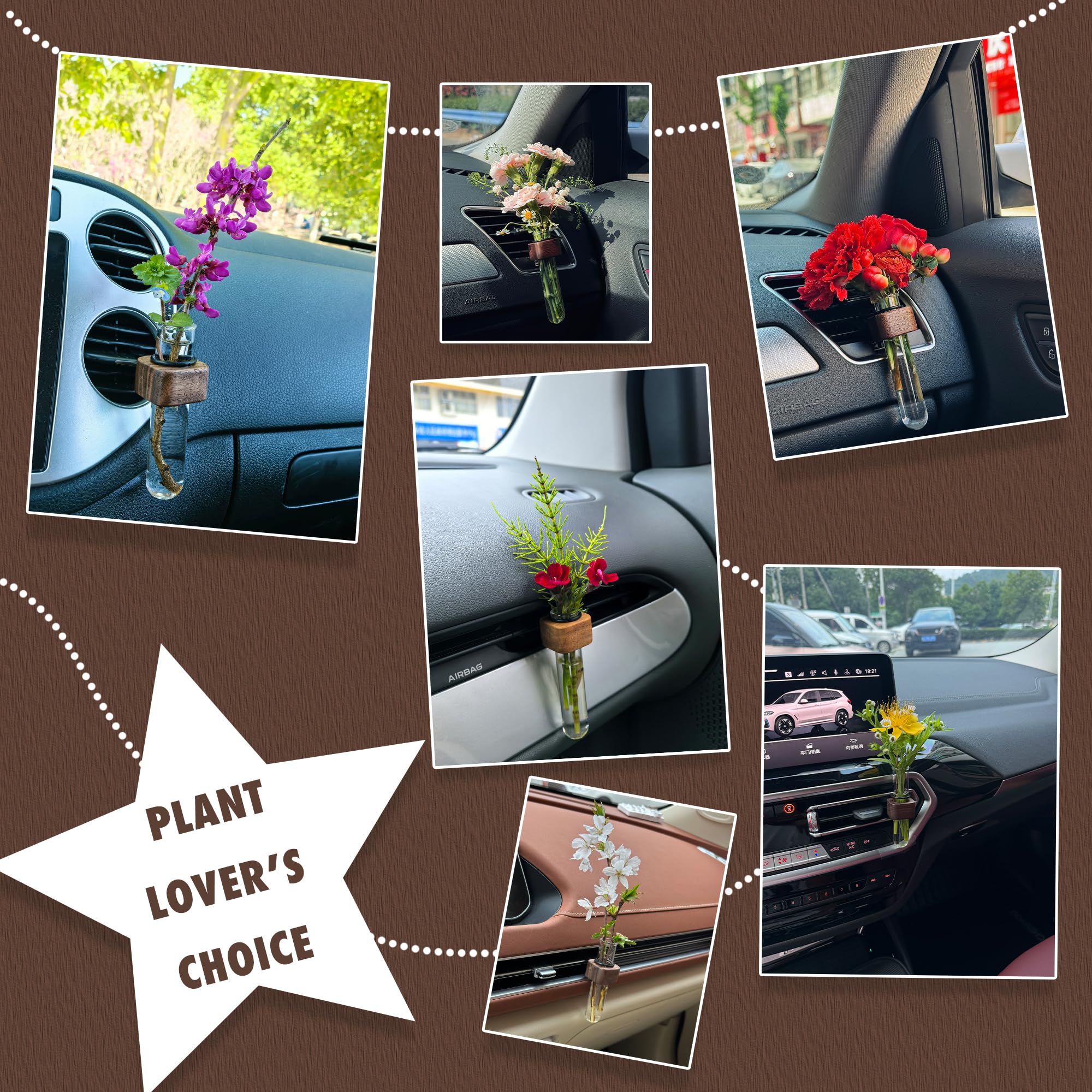 Amazon.com: LVBRT Car Flower Vase Vent Clip, Test Tube for Plants