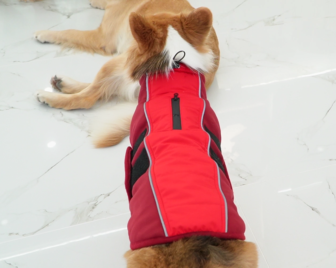 Amazon.com : Kuoser Dog Jacket, Warm Dog Coats for Small Dogs