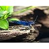 Product Photo 1