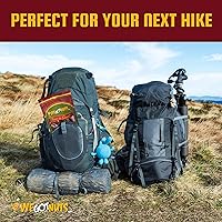 Vista 5 de Dátiles Medjool, We Got Nuts