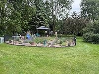 Review Image by Mike C. Mike C.