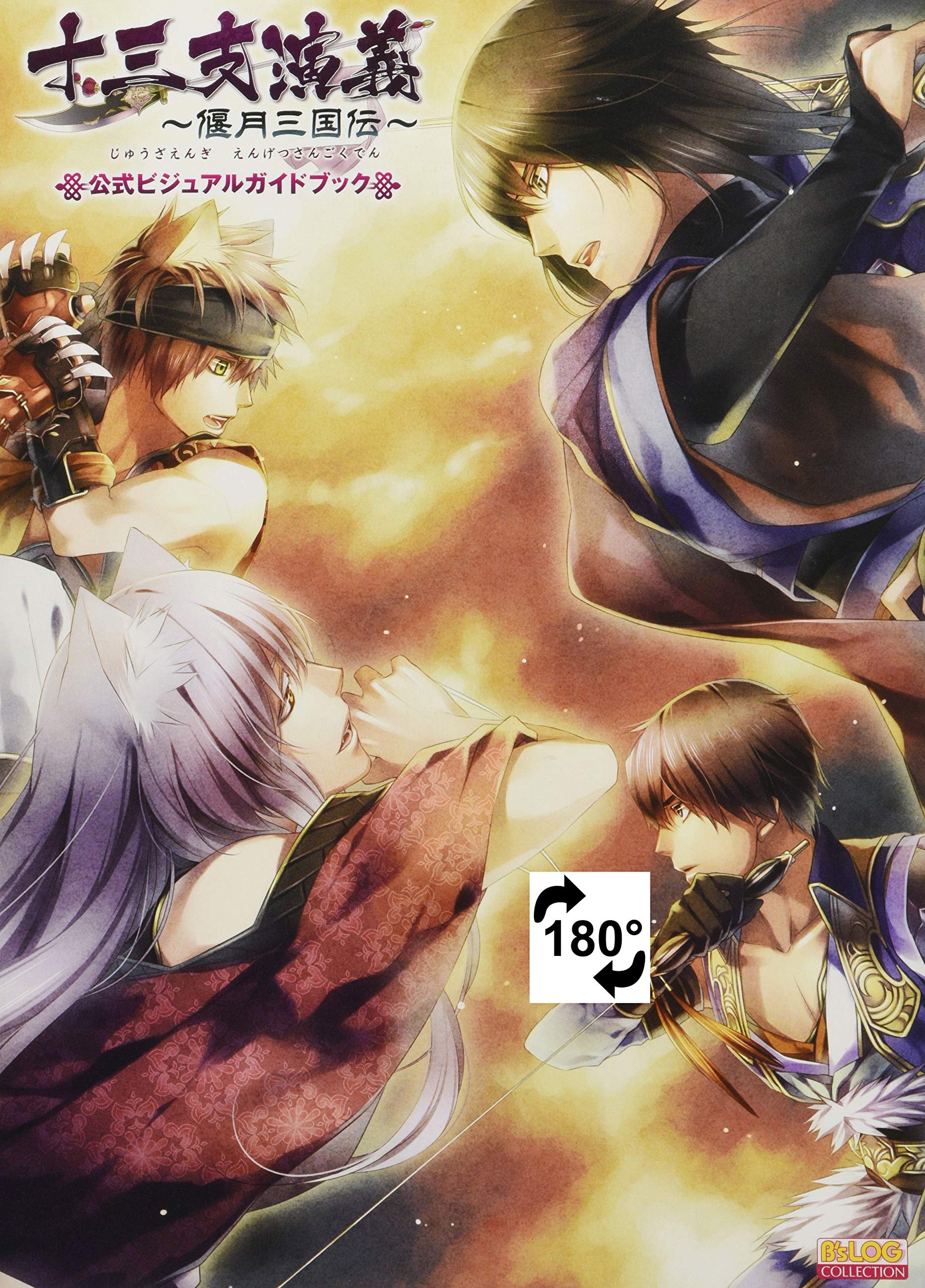 Amazon.co.jp: 十三支演義 ~偃月三国伝~ 公式ビジュアルガイドブック