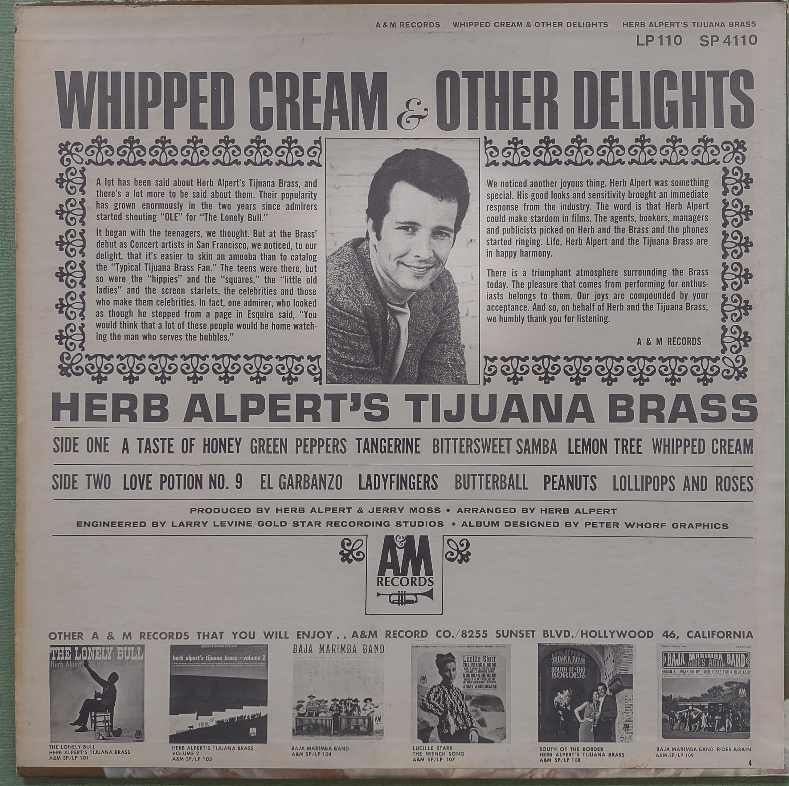 Whipped Cream & Other Delights