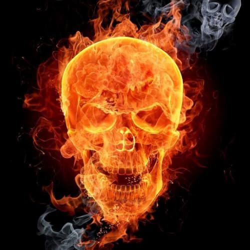 Skull Head Wallpapers