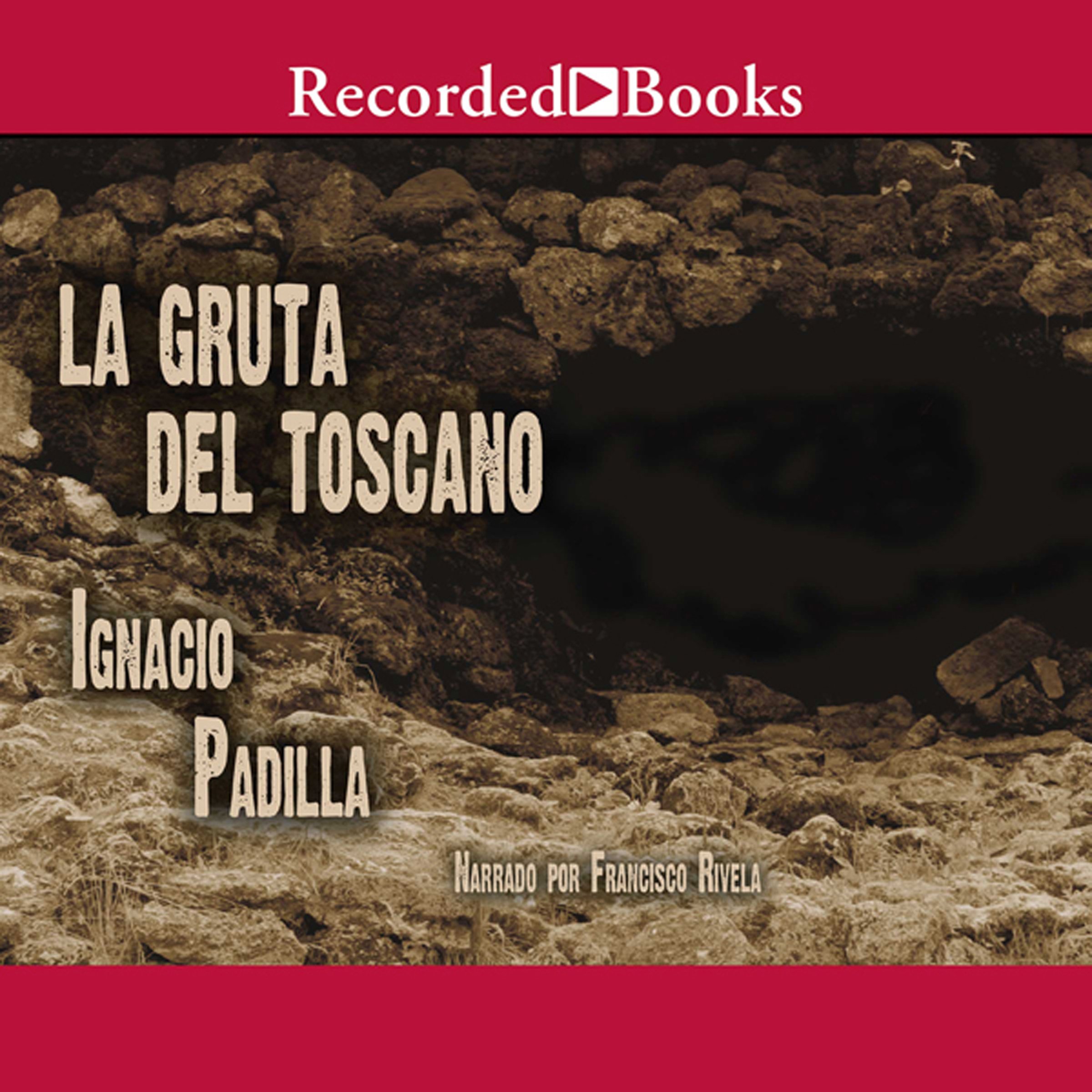 Cover art for La gruta del Toscano