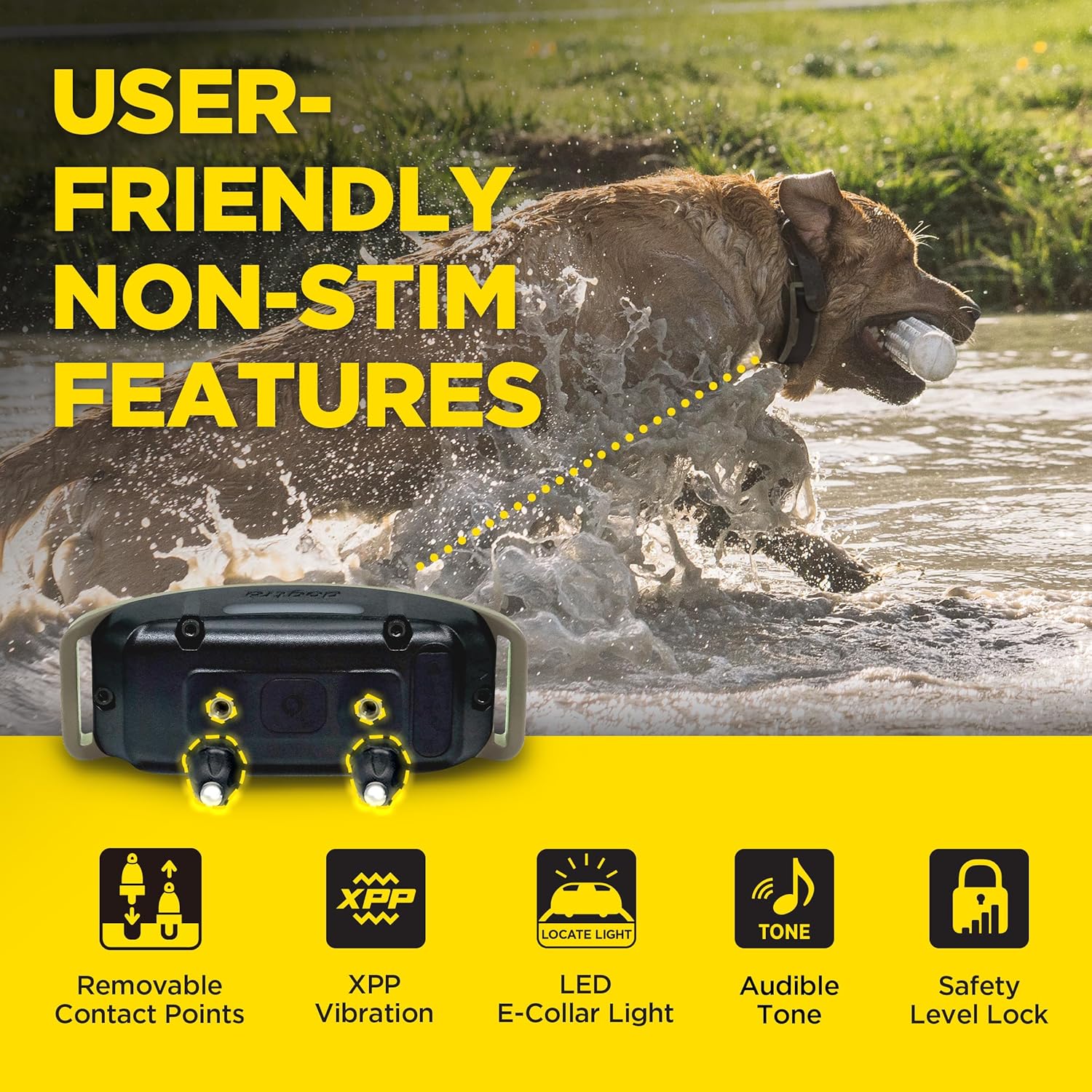 Dogtra 1900X Additional Receiver for E-Collar Training, Rugged, Waterproof, 100-Level Stimulation, for Dogs 45 lbs+, Expand to Multi-Dog System