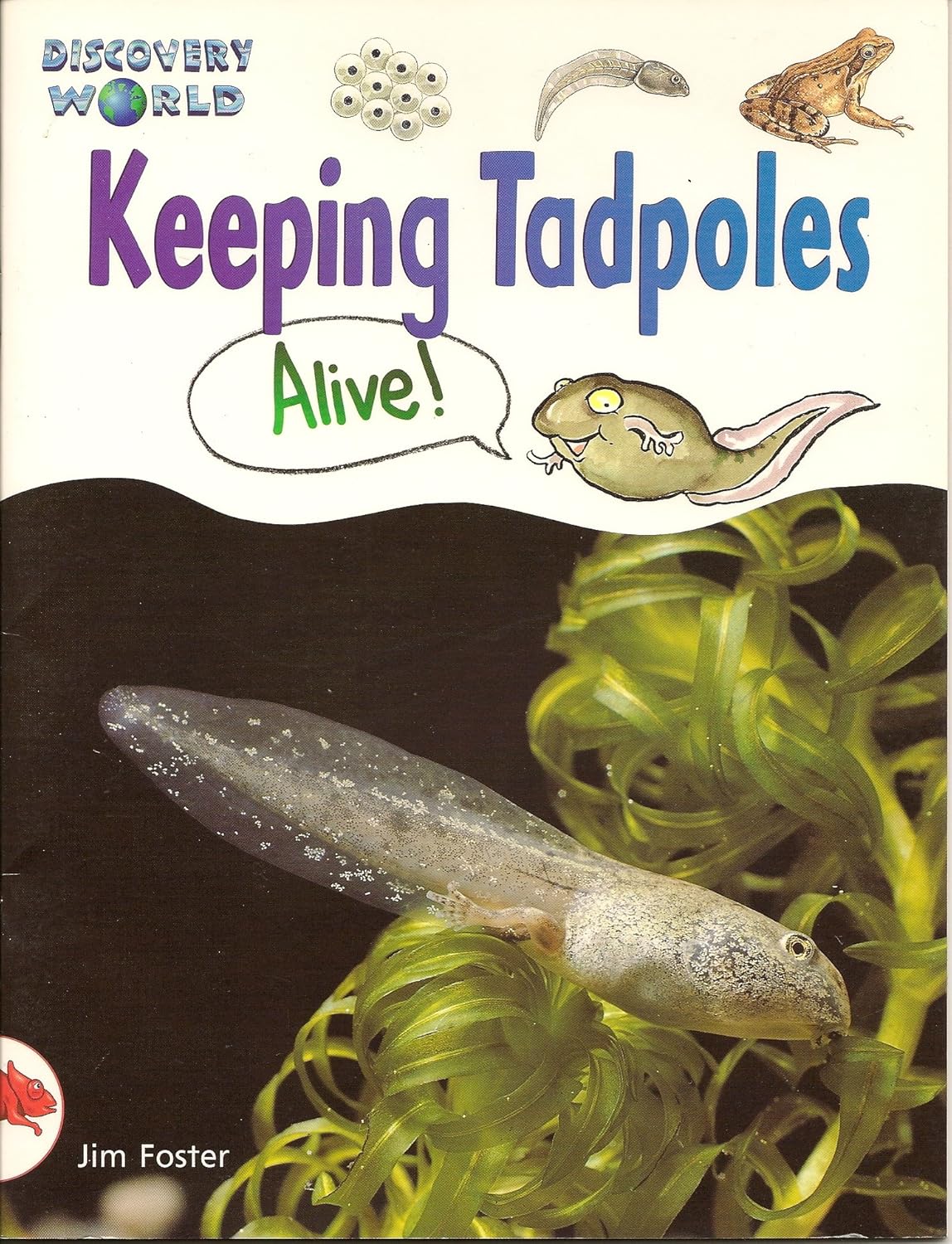 Dw2 Rd Keeping Tadpoles Is (Discovery world) Jim Foster 9780763523565 Books