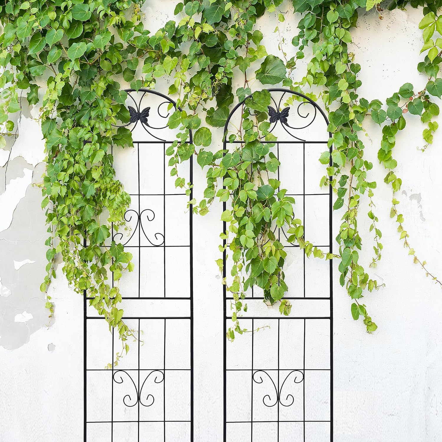 2 Pack Garden Trellises with Black Metal Coating, Trellis for Climbing Plants Outdoor, Roses, Vegetables, Vines, Cucumbers-19.7×86.7 inches.