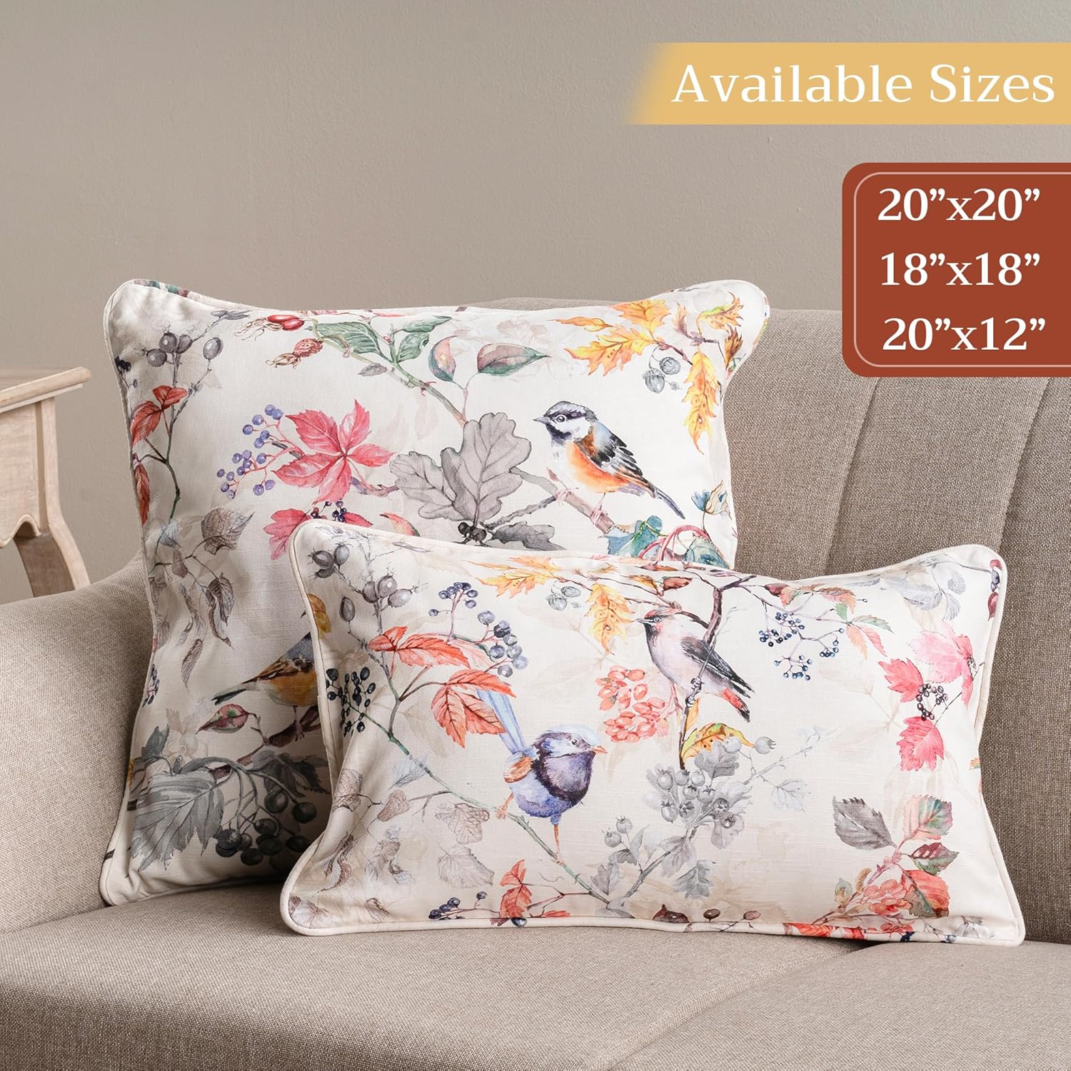 Maison d' Hermine Decorative Pillow Covers 20 x 20 inch Square 100% Cotton Throw Pillow Covers with Invisible Zipper for Living Room Couch Chair Sofas Gifts for Mothers Day - Equinoxe