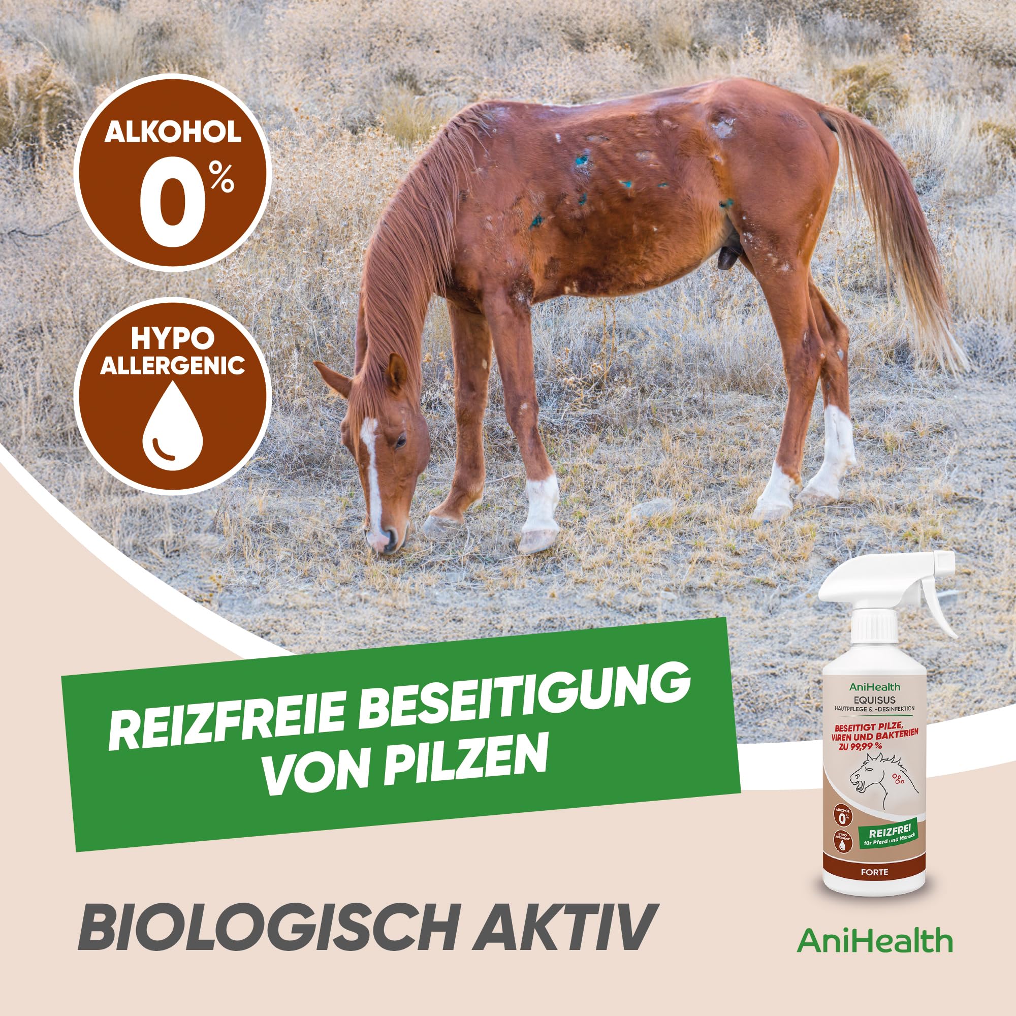 Bioseptika HOCl – beseitigt 99,99% aller Pilze auf Haut und Haar von Pferden – Haut- und schleimhautverträglich, Hypoallergen, Alkoholfrei, keine Resistenzbildung, keine Fellverfärbung | EQUISUS 500ml