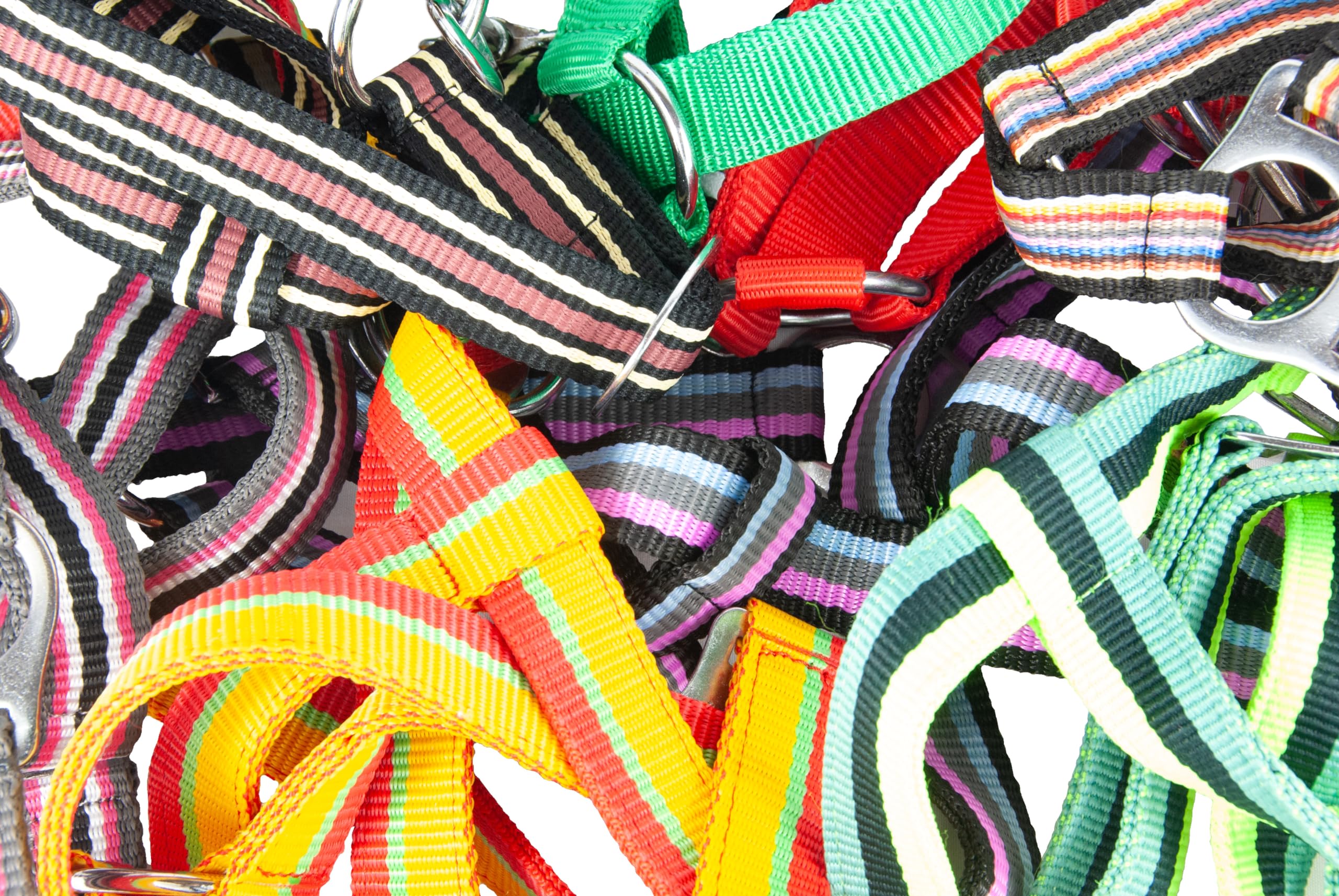 Brama West Cavezza per cavalli in nylon, regolabile, semplice in confezione da 10 pezzi, taglia Pony