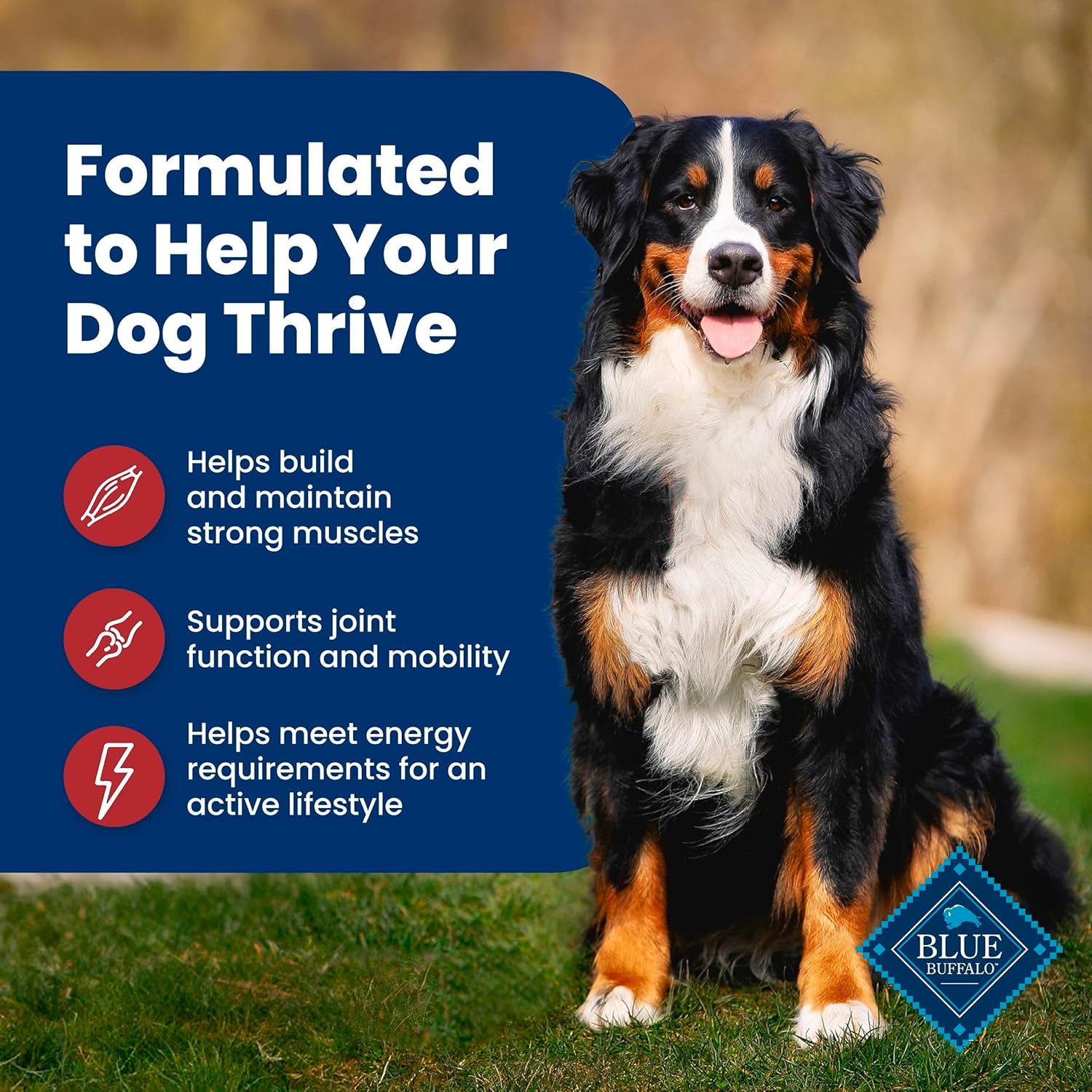 Blue Buffalo Life Protection Formula, Adult Dry Dog Food, Made with Natural Ingredients, Beef & Brown Rice, 40lb Bag