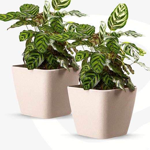 Eha Set of 2 Earth-Friendly Daisy 14" Self-Watering pots and Planters | Bamboo Based | UV Protected | for Indoor, Home Dec...