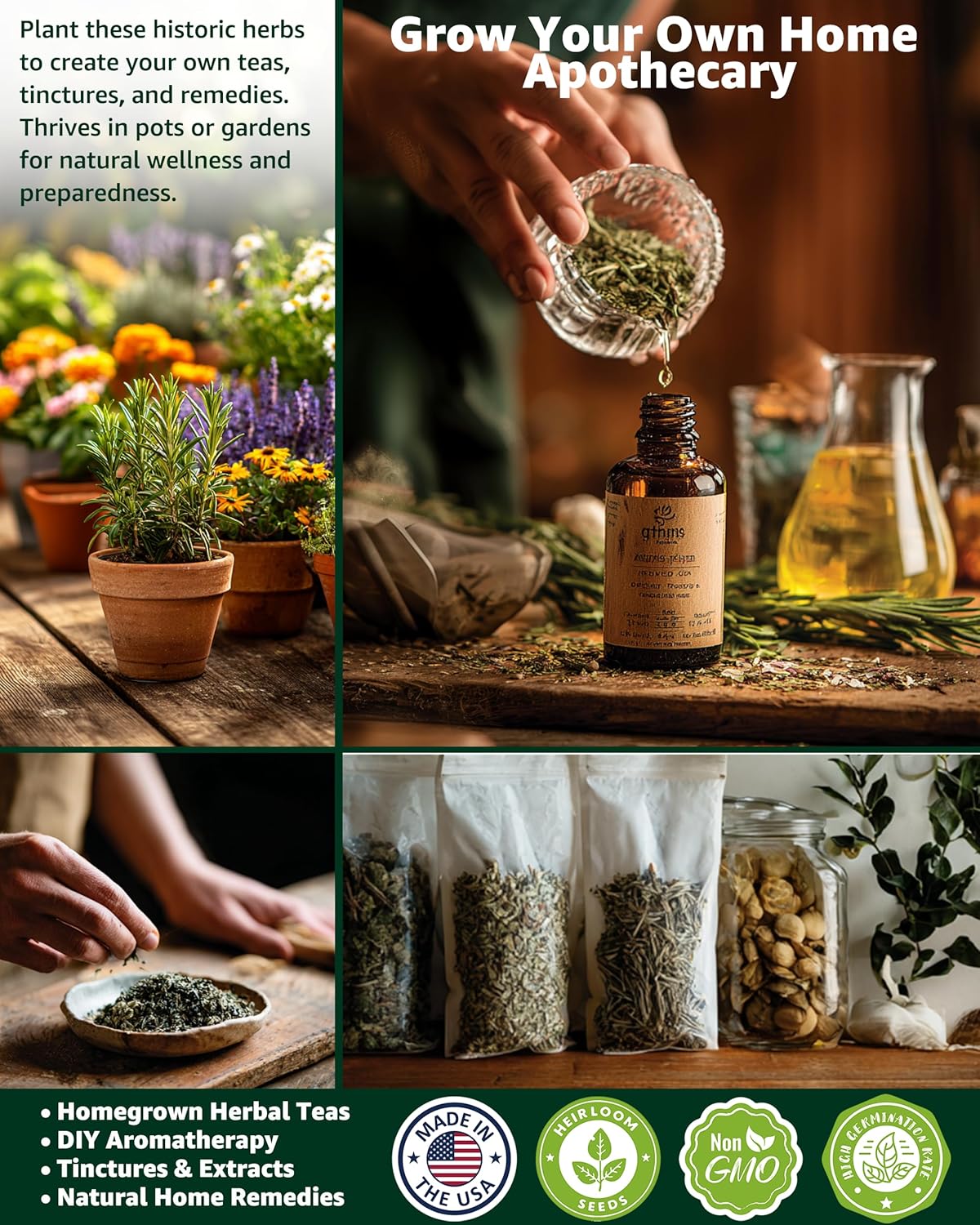 Medicinal & Tea Herb Seeds for Planting - 35 Non-GMO Heirloom Variety Pack for Indoor/Outdoor Garden: Anise, Bergamot, Borage, Fennel, Chamomile, Dandelion, Oregano, Hyssop, Catnip Seeds & More