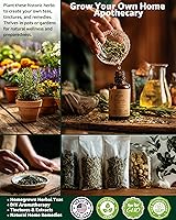 Vista 3 de Paquete variado de semillas de hierbas medicinales – 36 semillas de jardín de té de hierbas no transgénicos: manzanilla, lavanda, equinácea