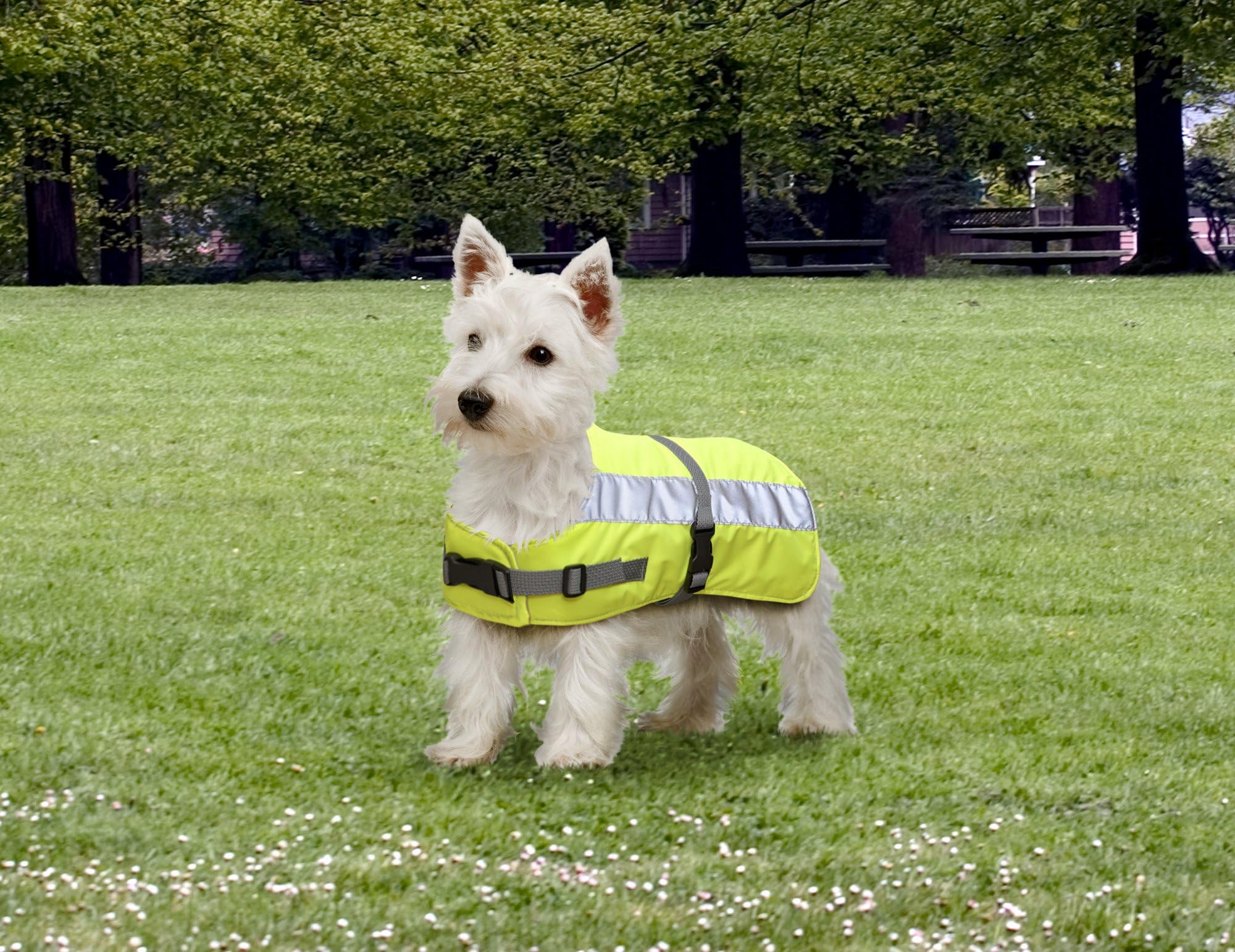 Flectalon Petlife Hi-Vis Dog Jacket Complete with Thermal Lining, 12-inch, Fluorescent Yellow