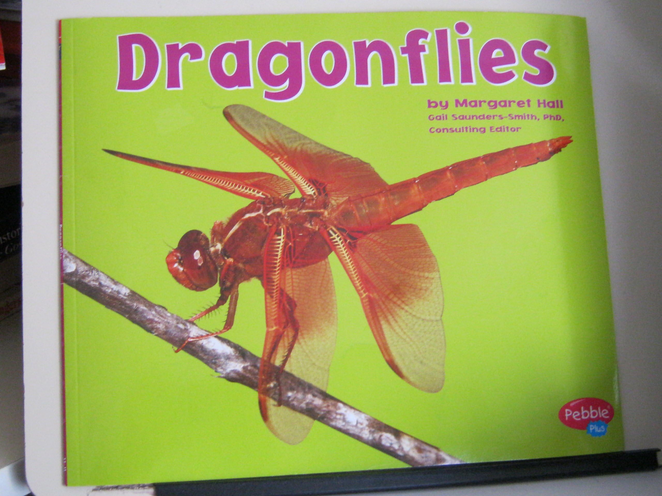 Dragonflies (Bugs, Bigs, Bugs,) Paperback – January 1, 2006
