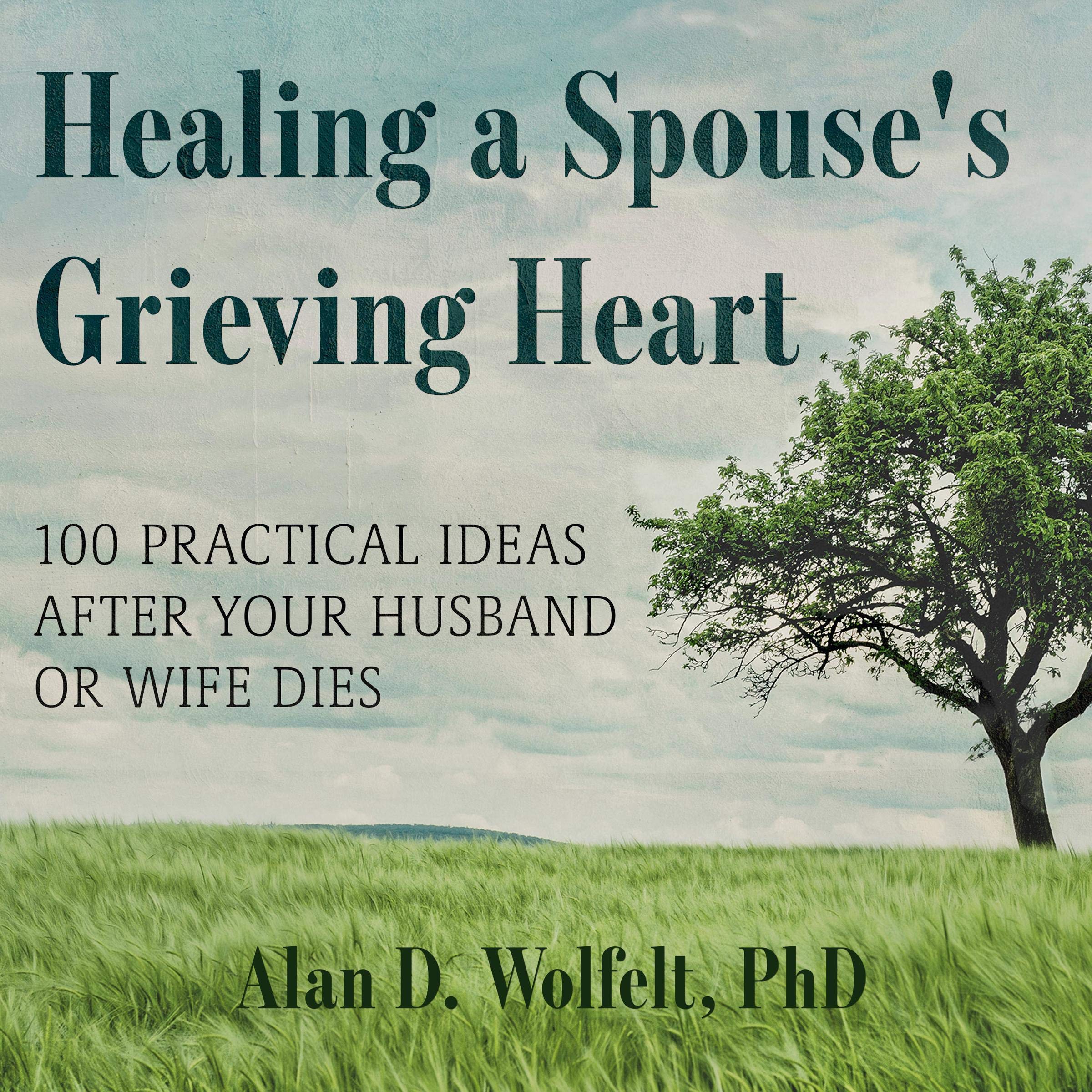 Cover art for Healing a Spouse's Grieving Heart
