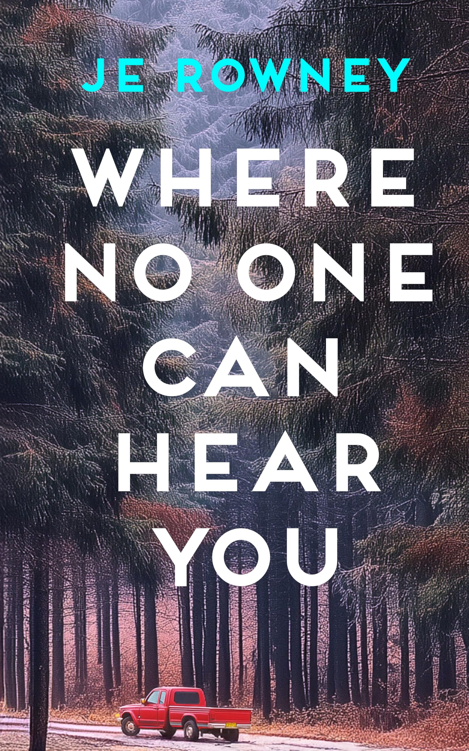 Where No One Can Hear You (The Survivor Stories Book 1)