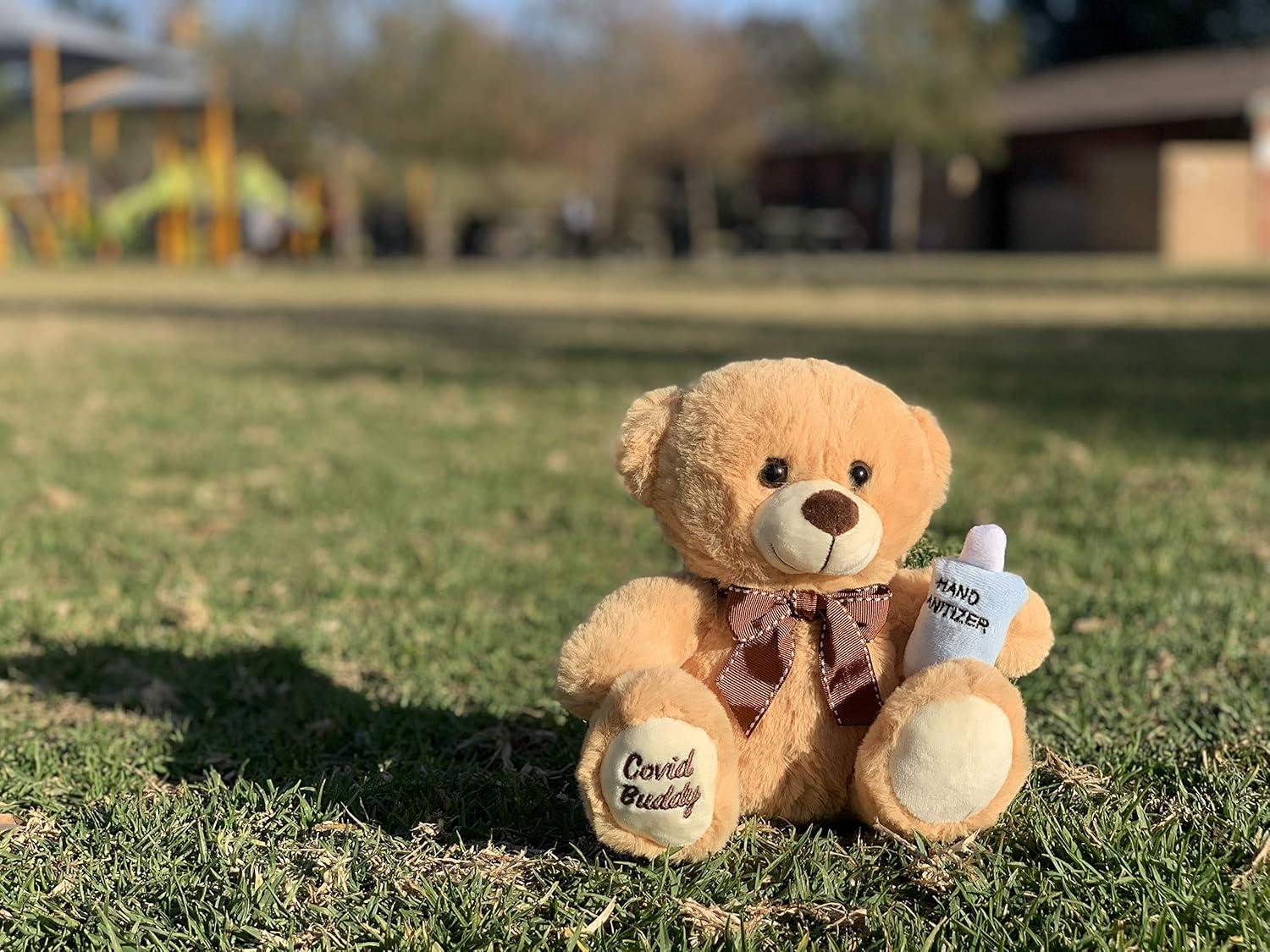 Covid Buddy Teddy Bear