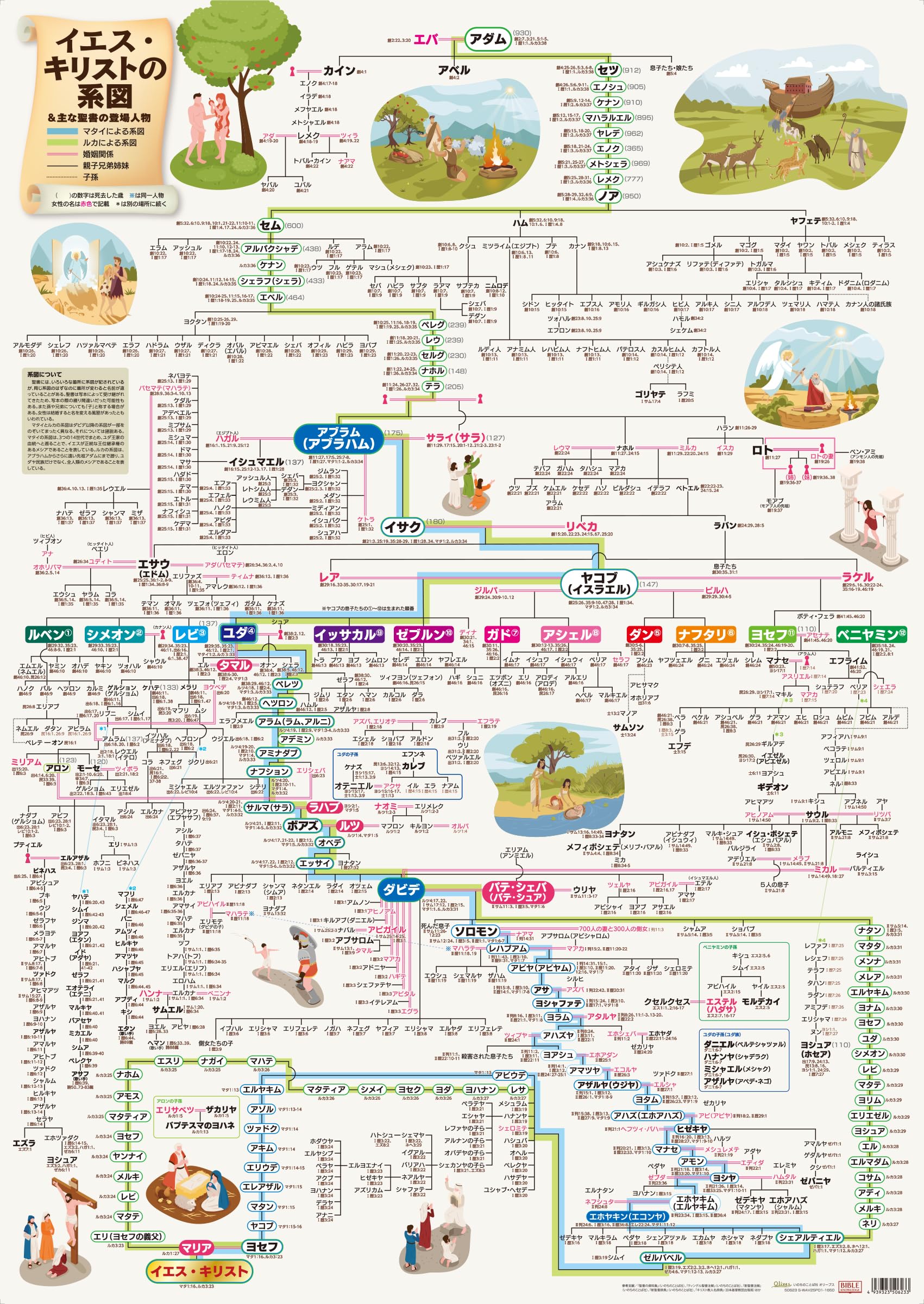 Amazon.co.jp: A1ポスター イエス・キリストの系図 大きなポスター