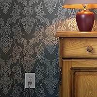 Vista 58 de ENERLITES Elite Series Duplex Receptacle with Screwless Wall Plate, Residential Grade Duplex Outlet, Tamper-Resistant, Grounding, 15A 125V, UL Silver