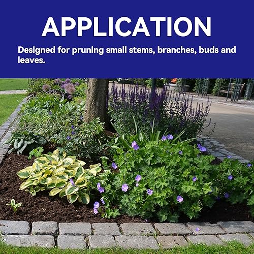 Miniatura 6 de HFS (R) Tijeras de podar bonsái para brotes y hojas recortadora para plantas, flores, 6 unidades