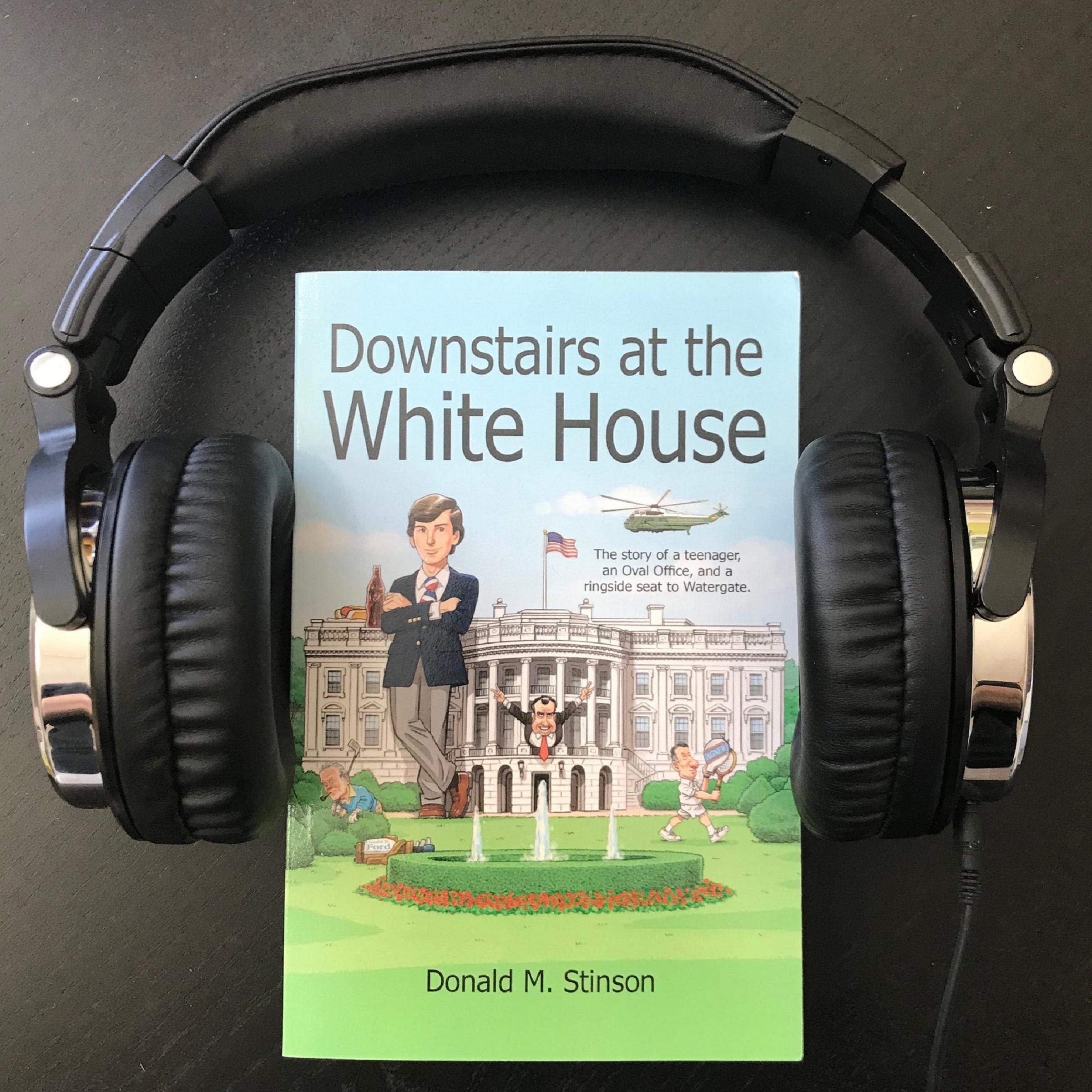 Cover art for Downstairs at the White House