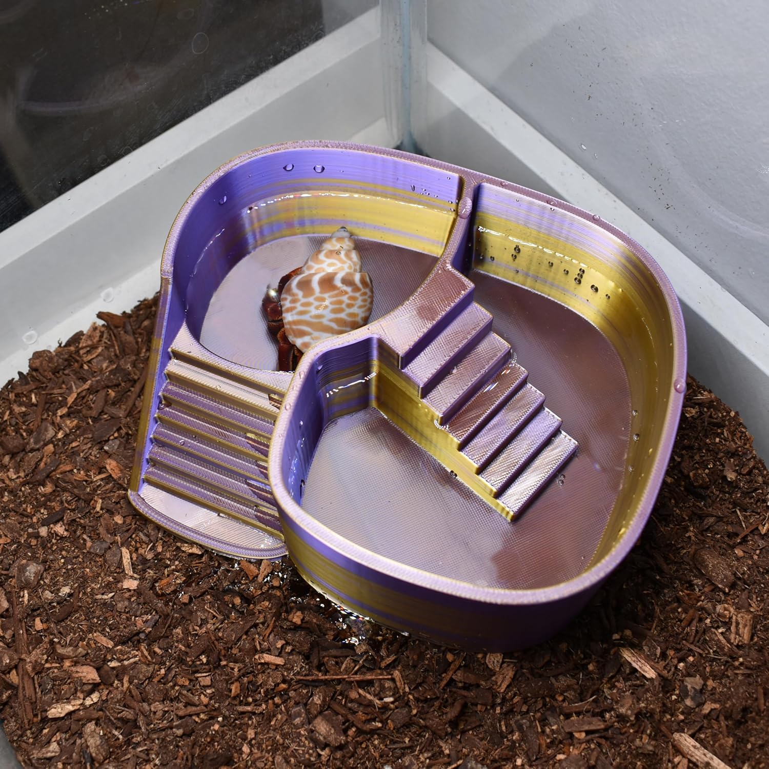 Dual Zone Hermit Crab Swimming Pool, 2-in-1 Soaking Tub for Fresh & Salted Water. Hermit Crab Food Bowl & Bath Tub with Climbing Ramp (Silk Gold Purple, Large)