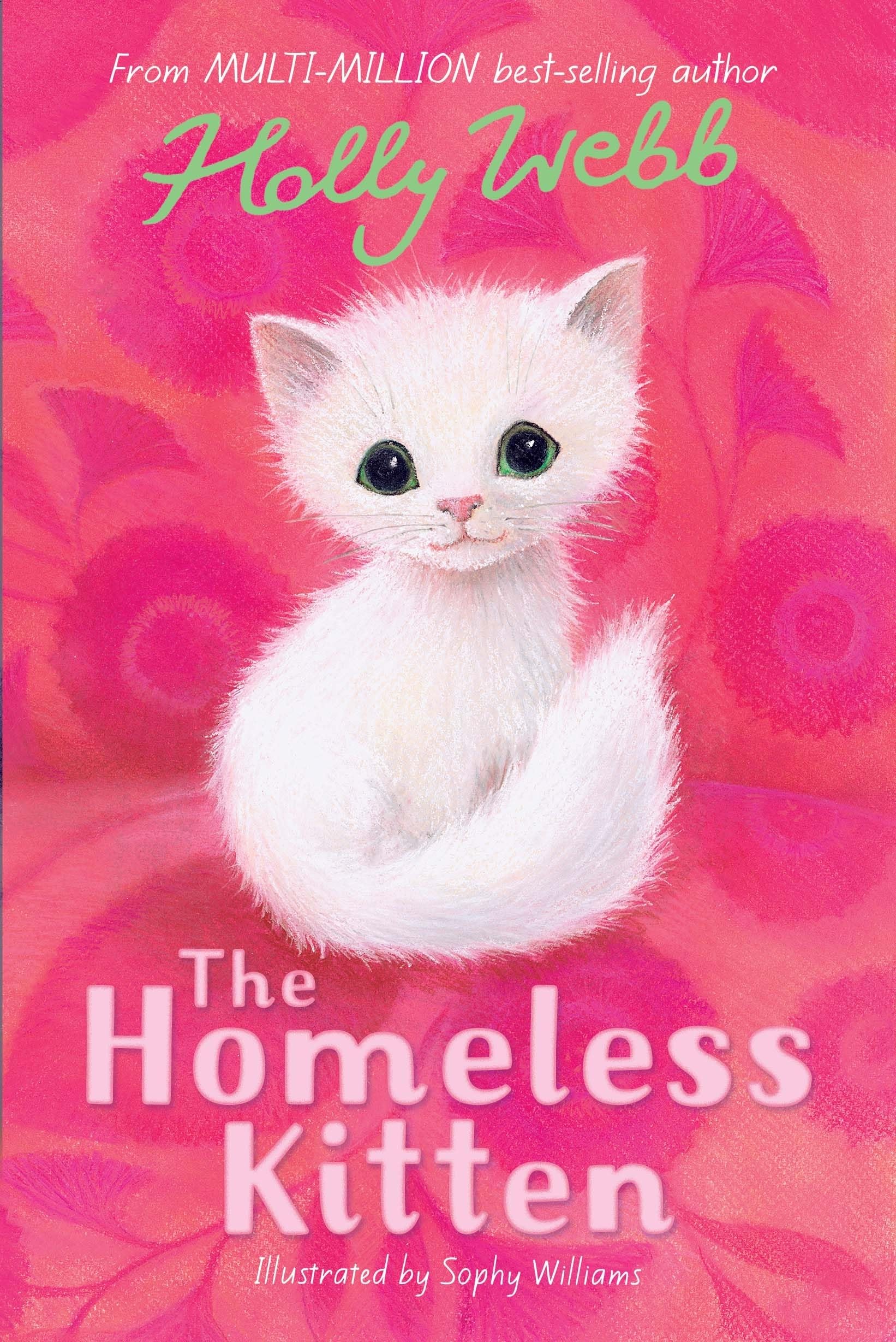 The Homeless Kitten: 36 (Holly Webb Animal Stories, 36)