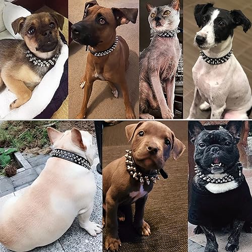 Miniatura 3 de Teemerryca - Collares para perro, ajustables, de piel de microfibra con púas punzantes y una pelota chillona de regalo, para mascotas pequeñas,