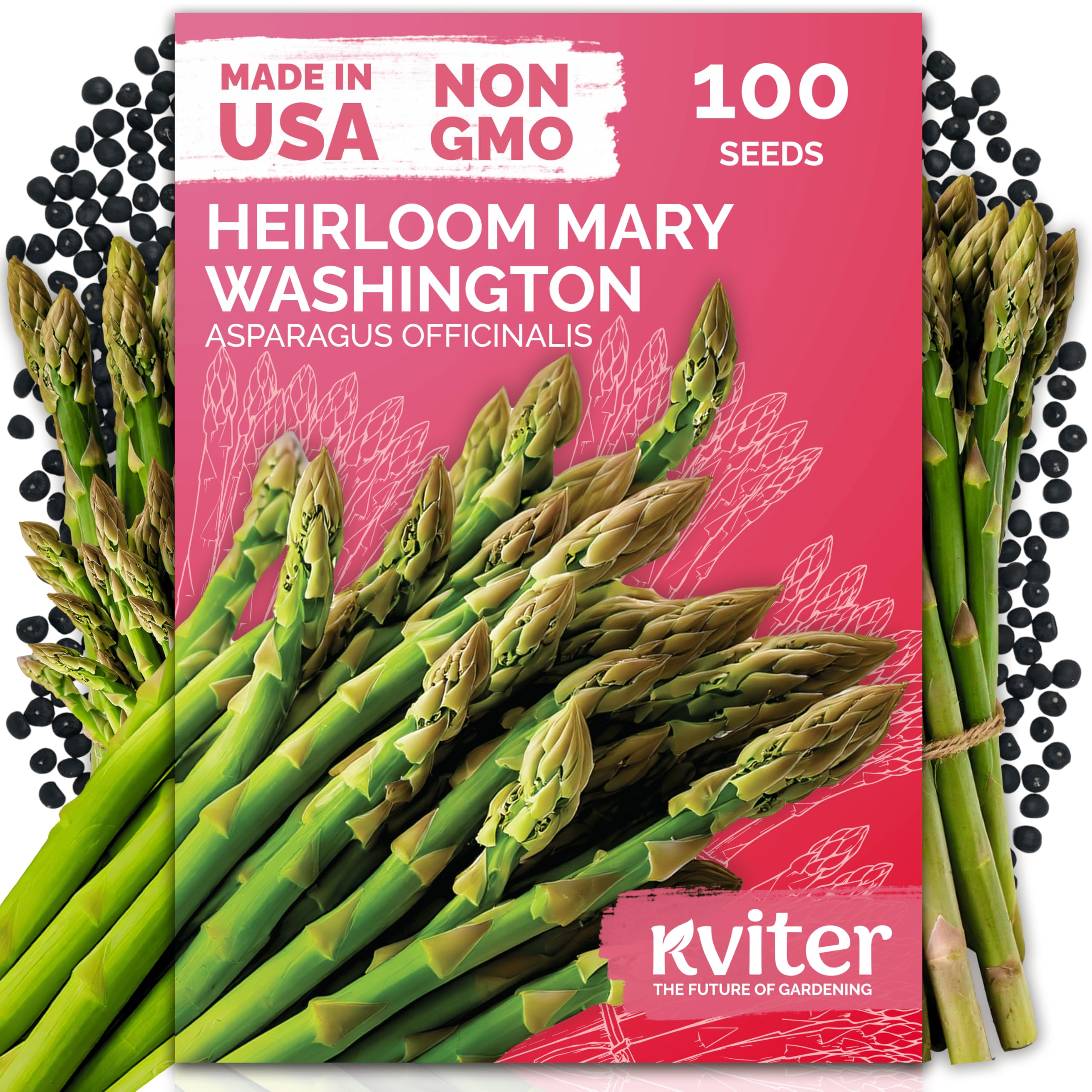 KVITER 100 Mary Washington Asparagus Seeds (Asparagus officinalis) – Heirloom Non GMO Asparagas Seed Packets Rust Resistant Perennial – Aspergus Vegetable Seeds for Planting Outdoors, Home Garden