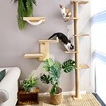 FUKUMARU Un grand arbre de chat, 5 Étage de niveau à plafond de la tour des chats, poteau de scratching de chaton mural, étagères murales de kittens de simulation sauvage, adapté pour l'escalade, l'arrachage, le lookout et le jeu