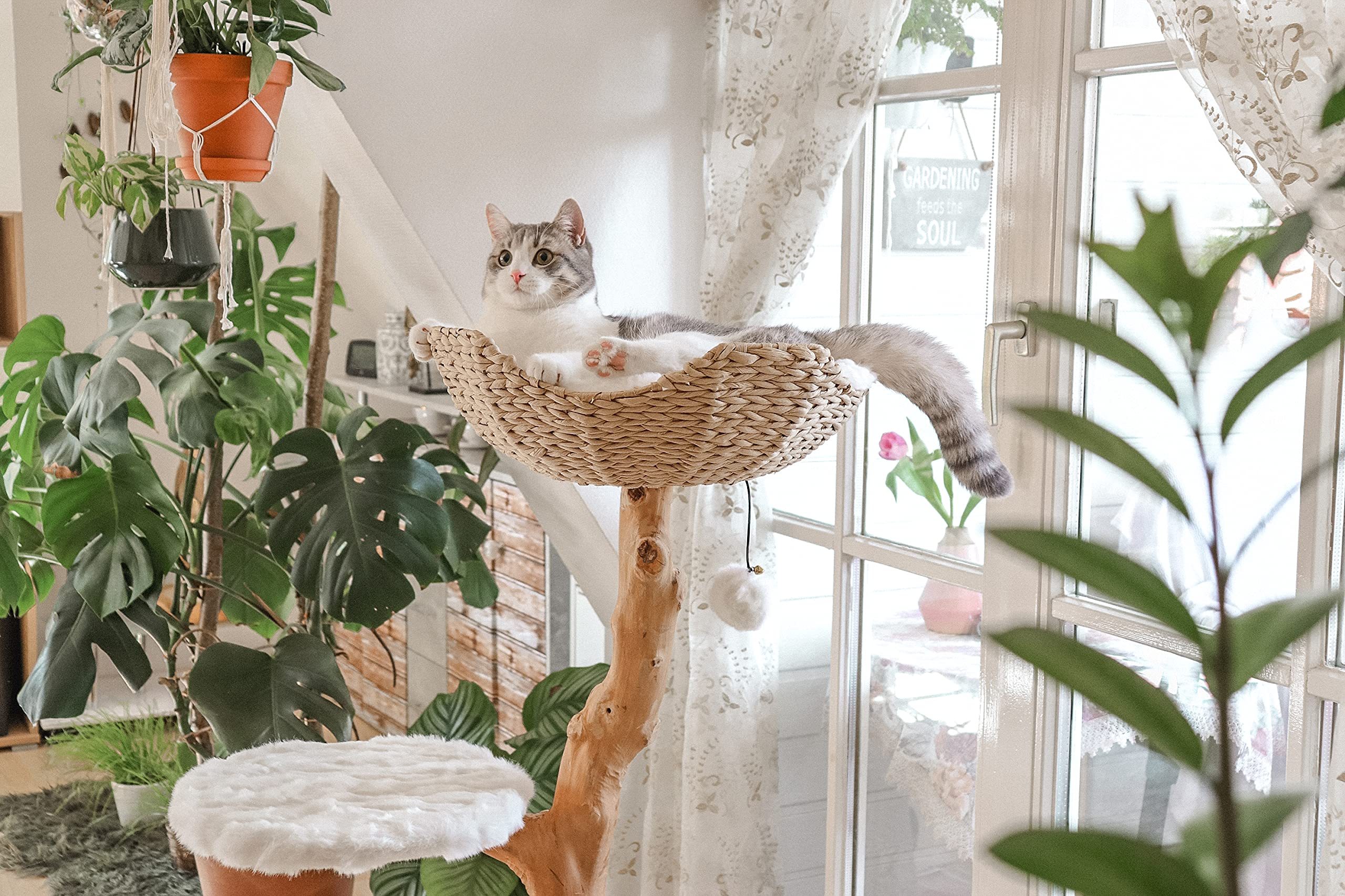 Modern Cat Tree Tower, Real Wooden Single Branch Cat Condo, Wood Cat Tree, Cat Climbing, Furniture for Cat, Cat Lover Gift, Cat Furniture,Cat Gift by MAU LIFESTYLE