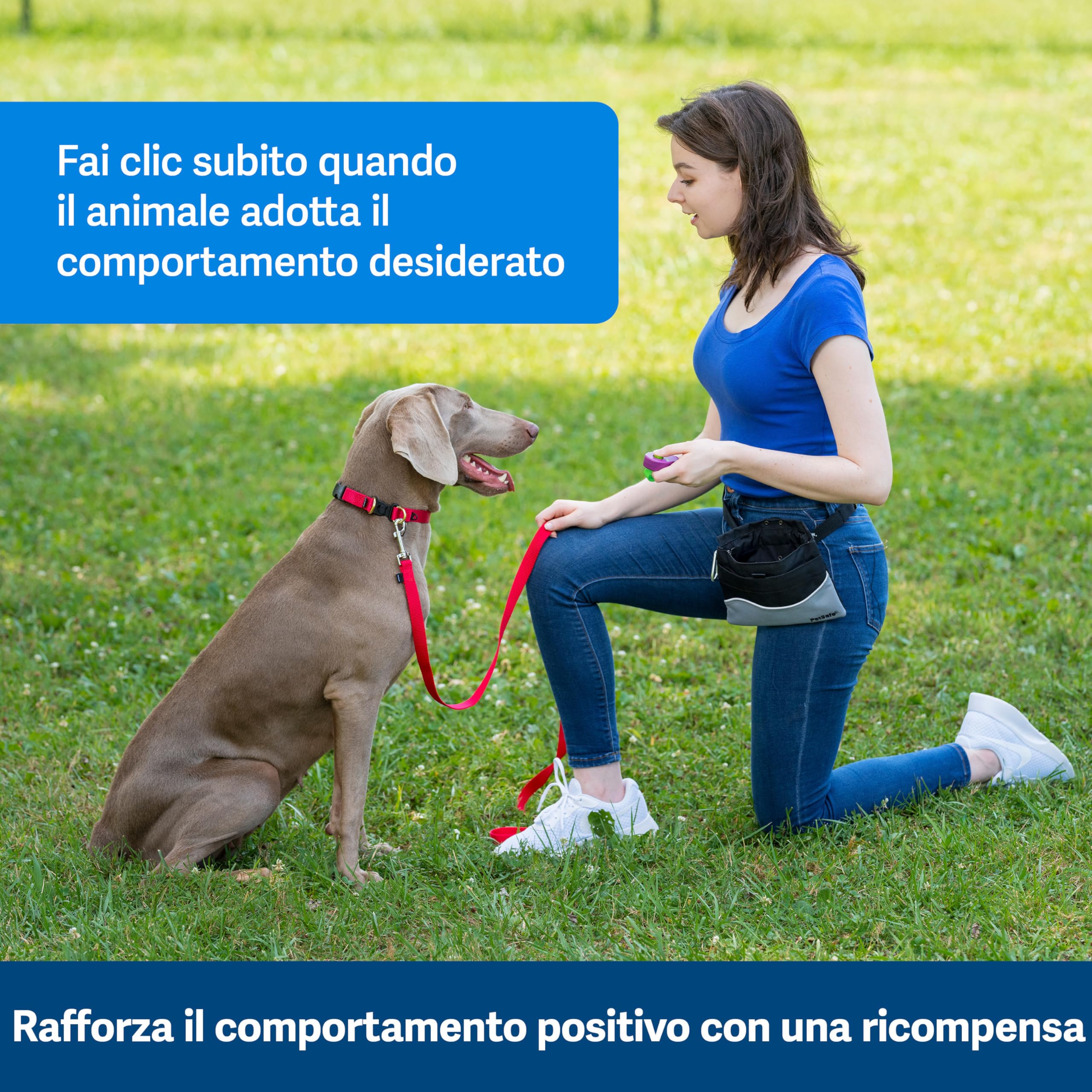 PetSafe Clik-R - Clicker di Addestramento per Cani e Gatti per l’Educazione Quotidiana con Design Ergonomico e Fascia da Dito Compatta - Viola