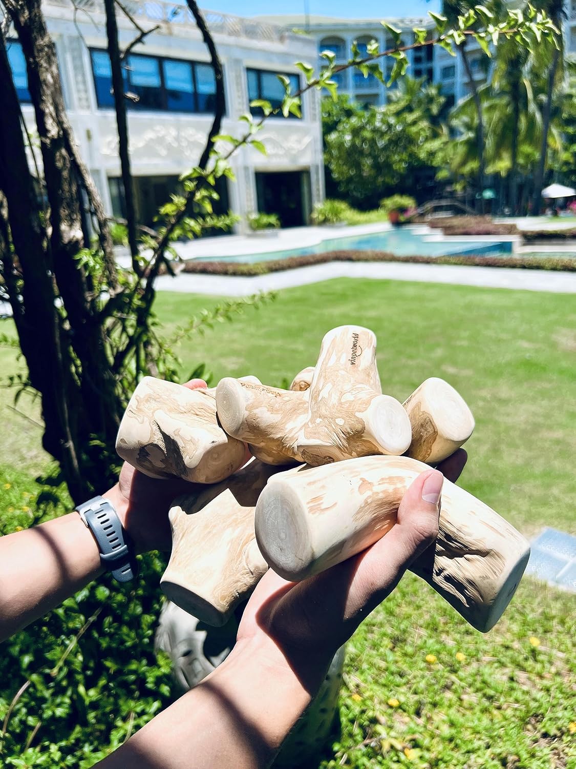 Dog Chew Toy - Boost Your Dog's Chewing Joy with This Safe, Natural Stick from Real Coffee Wood, Perfect for Your Joyful Four-Legged Friend - Size Medium (Pack of 2) image 3