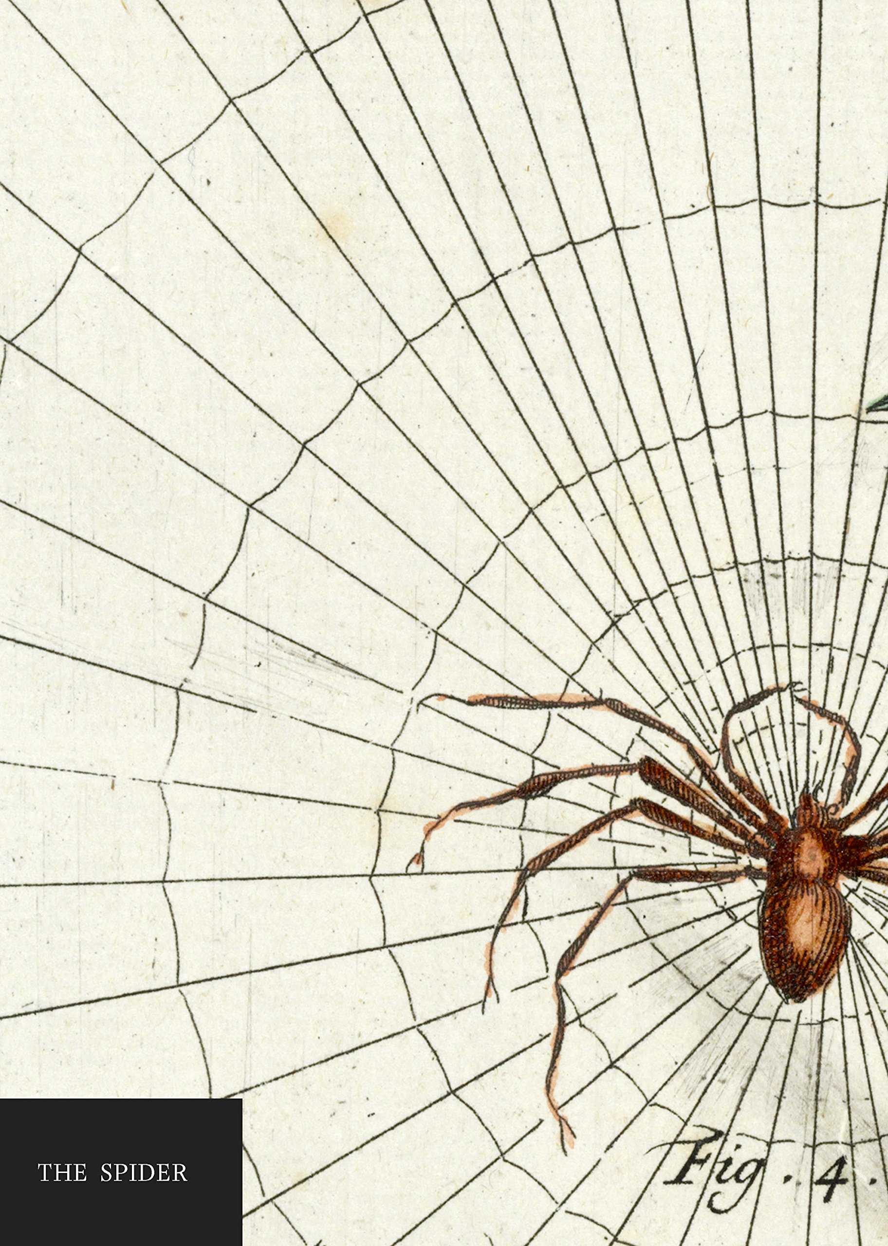 Natural History Museum: A5 Spider Notebook Stationery – 24 Sept. 2015