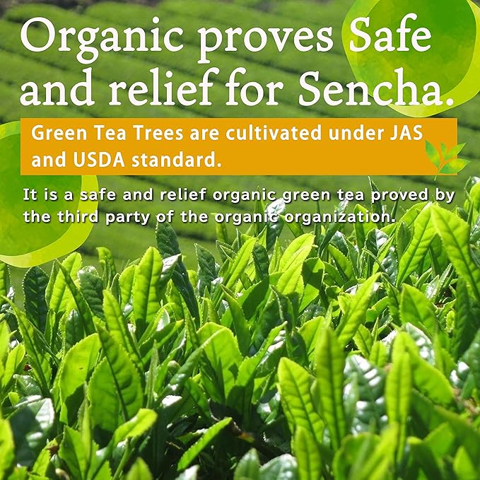 Té Verde Orgánico Kukicha con Matcha 100g miniatura 4