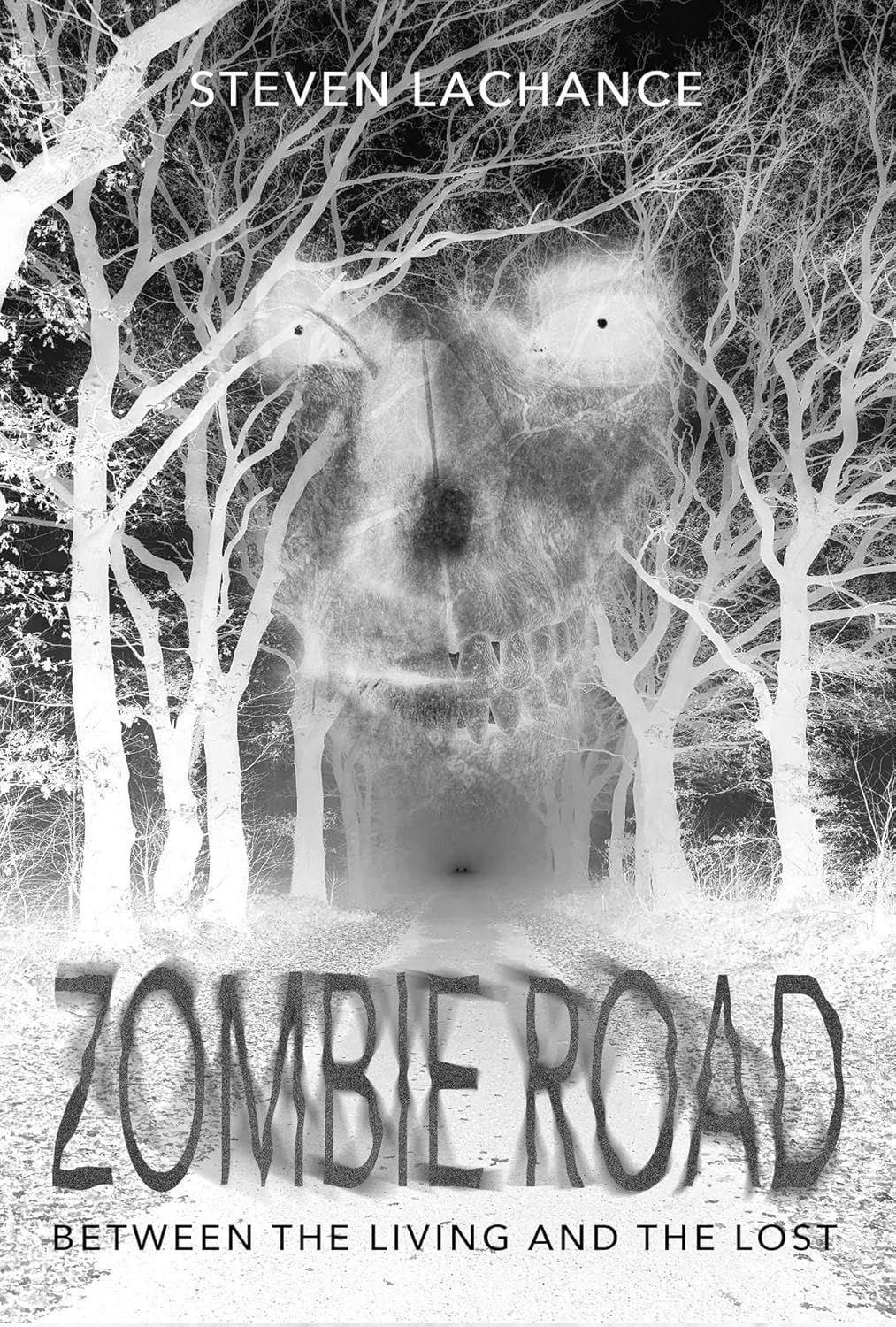 Zombie Road: Between the Living and the Lost      Kindle Edition
