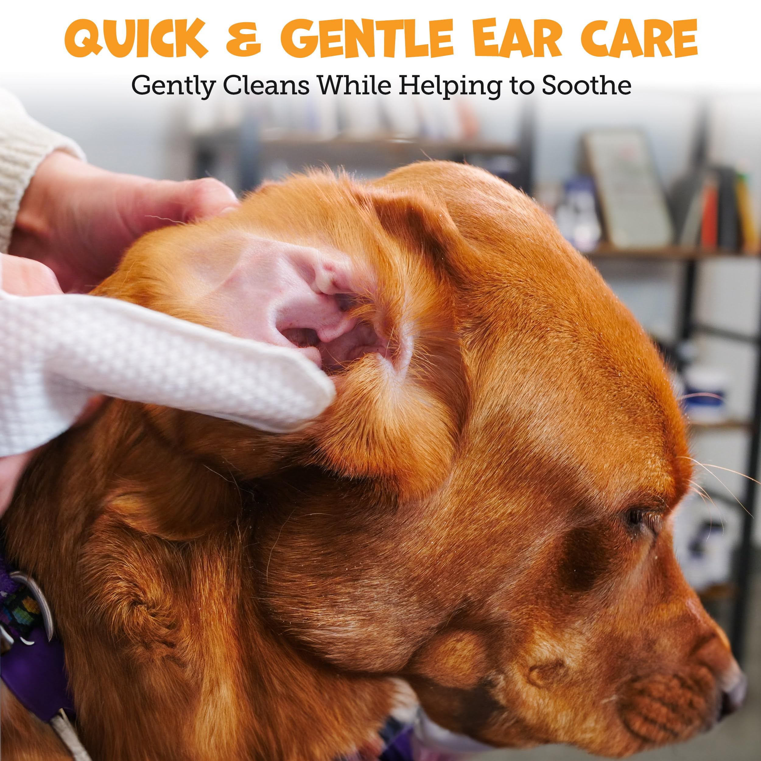 Finger Ear Wipes for Dogs with Aloe Vera and Eucalyptus - Convenient, Extra-Coverage, and Large Design Dog Ear Cleaning Wipes - Removes Wax and Freshens Ears - 50 Wipes - image 2