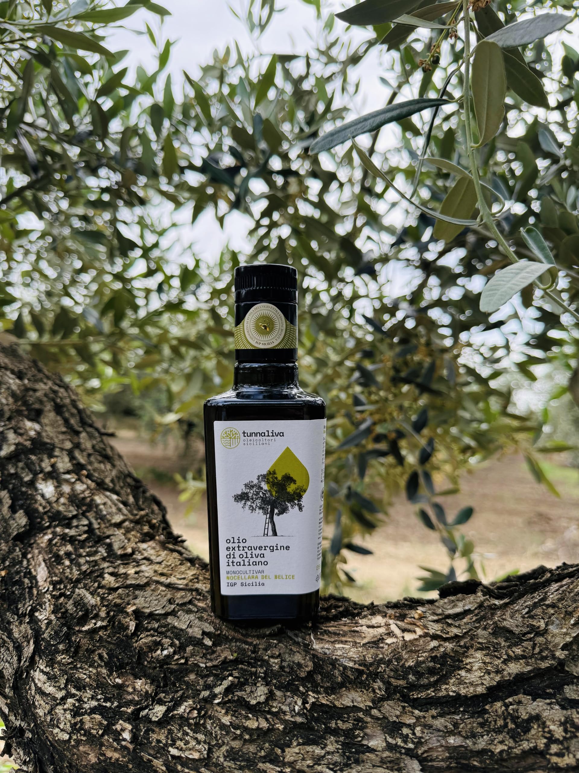 Olio EVO Tunnaliva - Olio Extra Vergine di Oliva Italiano - 100% Nocellara del Belice - IGP Sicilia - Set N.2 Bottiglie 250 mL