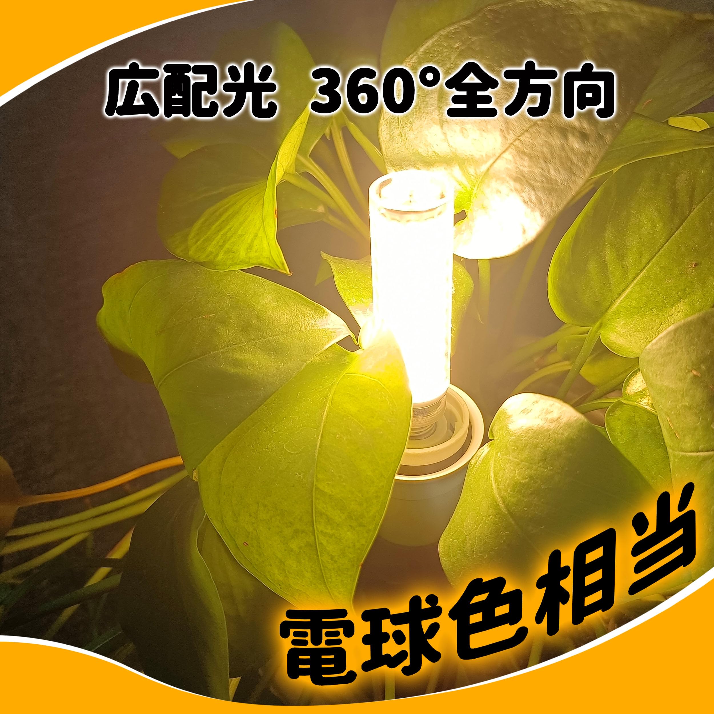 Amazon | Ziomitus E17 LED 100w LED電球 17口金 100w相当 1200lm
