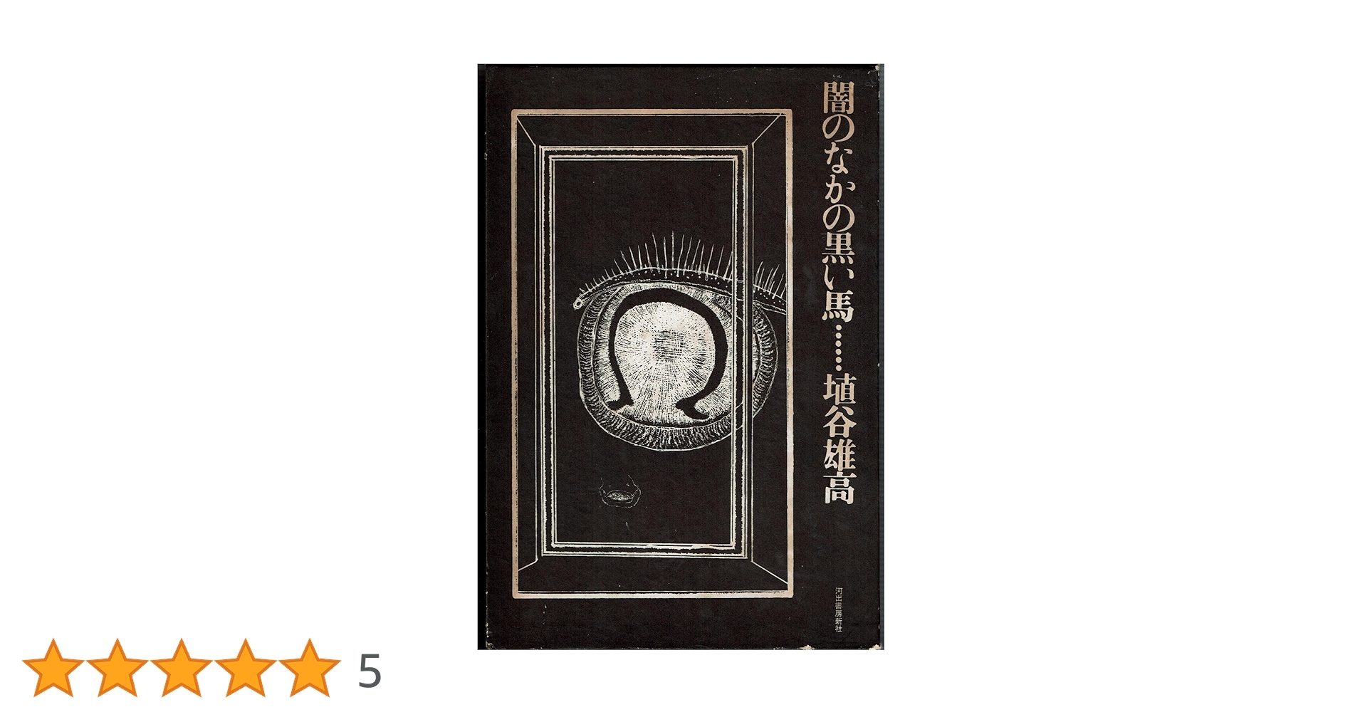 闇のなかの黒い馬 埴谷雄高 限定版 未装釘箱入 大型本 1971年初版 闇のなかの黒い馬 (1971年) |本 | 通販 | Amazon